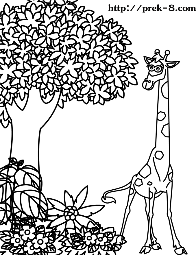 叢林 桌布 壁紙 — 右上角帶有微弱浮水印文字的純黑色背景。