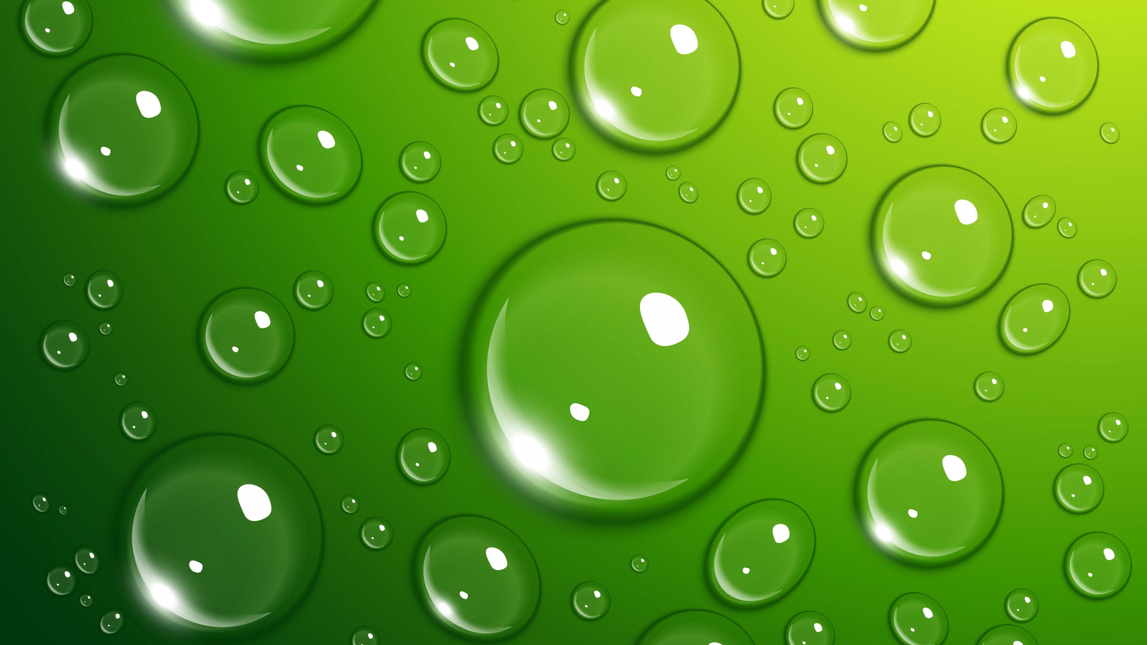 Water Drops 桌布 壁紙 — 各種大小的閃亮綠色水滴停留在充滿活力的漸變綠色表面上，反射出明亮的高光。