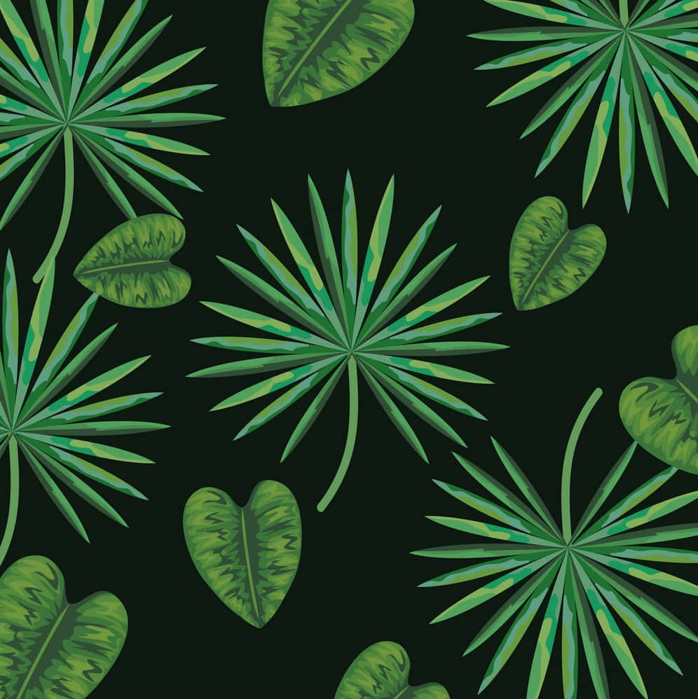 Palm 桌布 壁紙 — 各種形狀的鮮綠色熱帶樹葉在深黑色背景上以重複圖案漂浮。