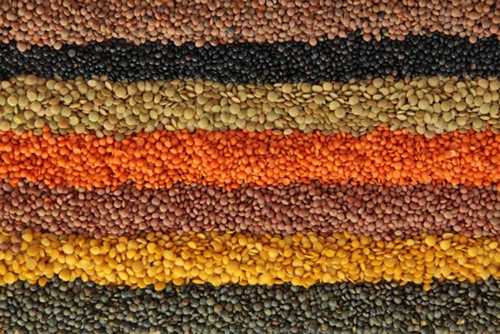 Multicolor 桌布 壁紙 — 各種扁豆以大地色調形成鮮明的水平條紋，營造出帶有紋理的馬賽克圖案。