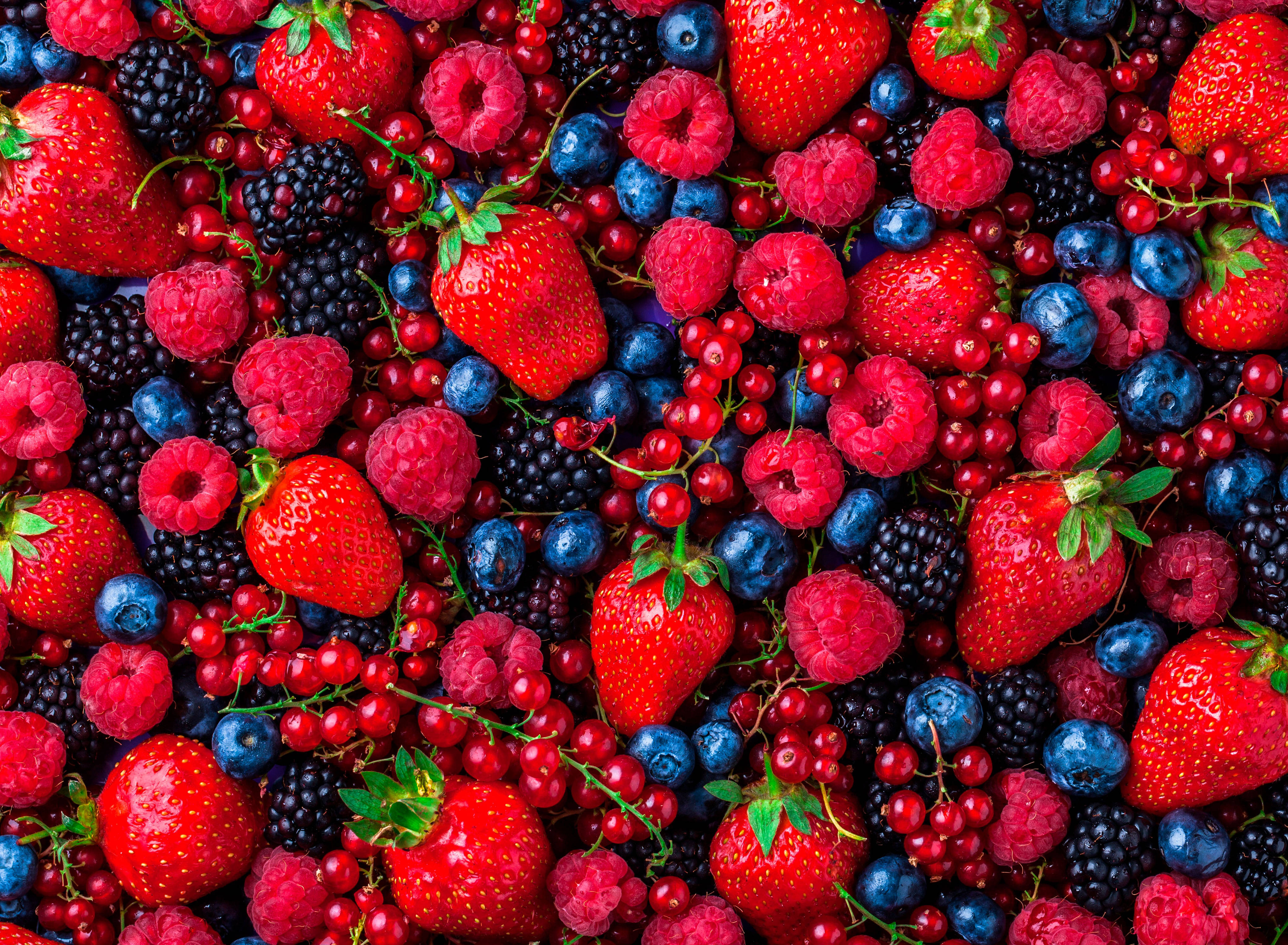 Berry 桌布 壁紙 — 各種新鮮莓果的鮮豔特寫，包括草莓、覆盆子、藍莓、黑莓和紅醋栗。