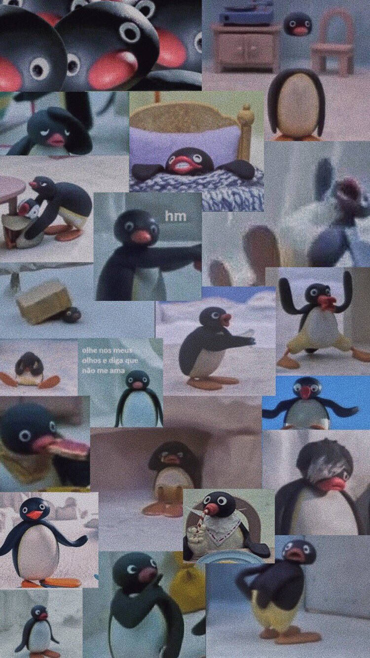 Pingu 桌布 壁紙 — 各種表情豐富的姿勢和室內場景中的黏土動畫企鵝角色拼貼畫。