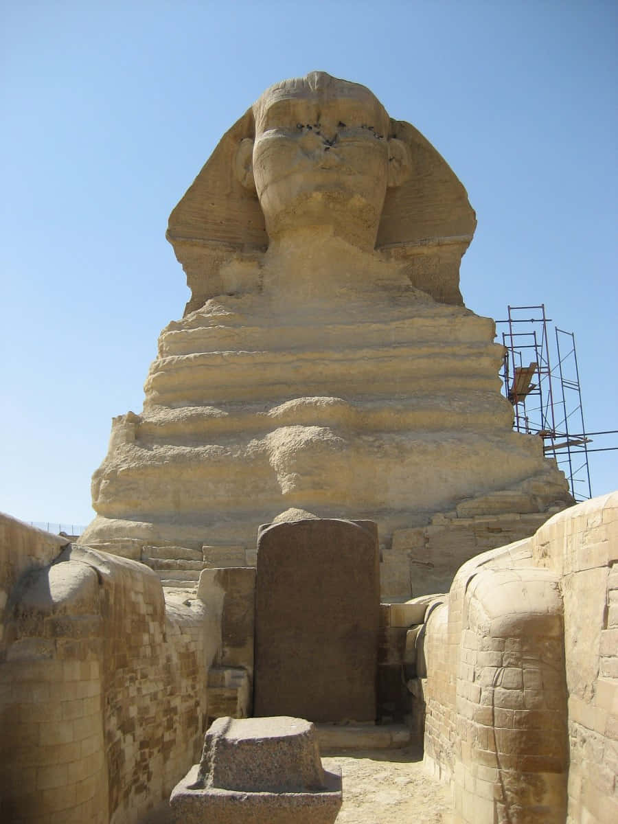 statue 桌布 壁紙 — 吉薩大獅身人面像在晴朗的藍天下雄偉地矗立，附近有古老的石塊和鷹架。
