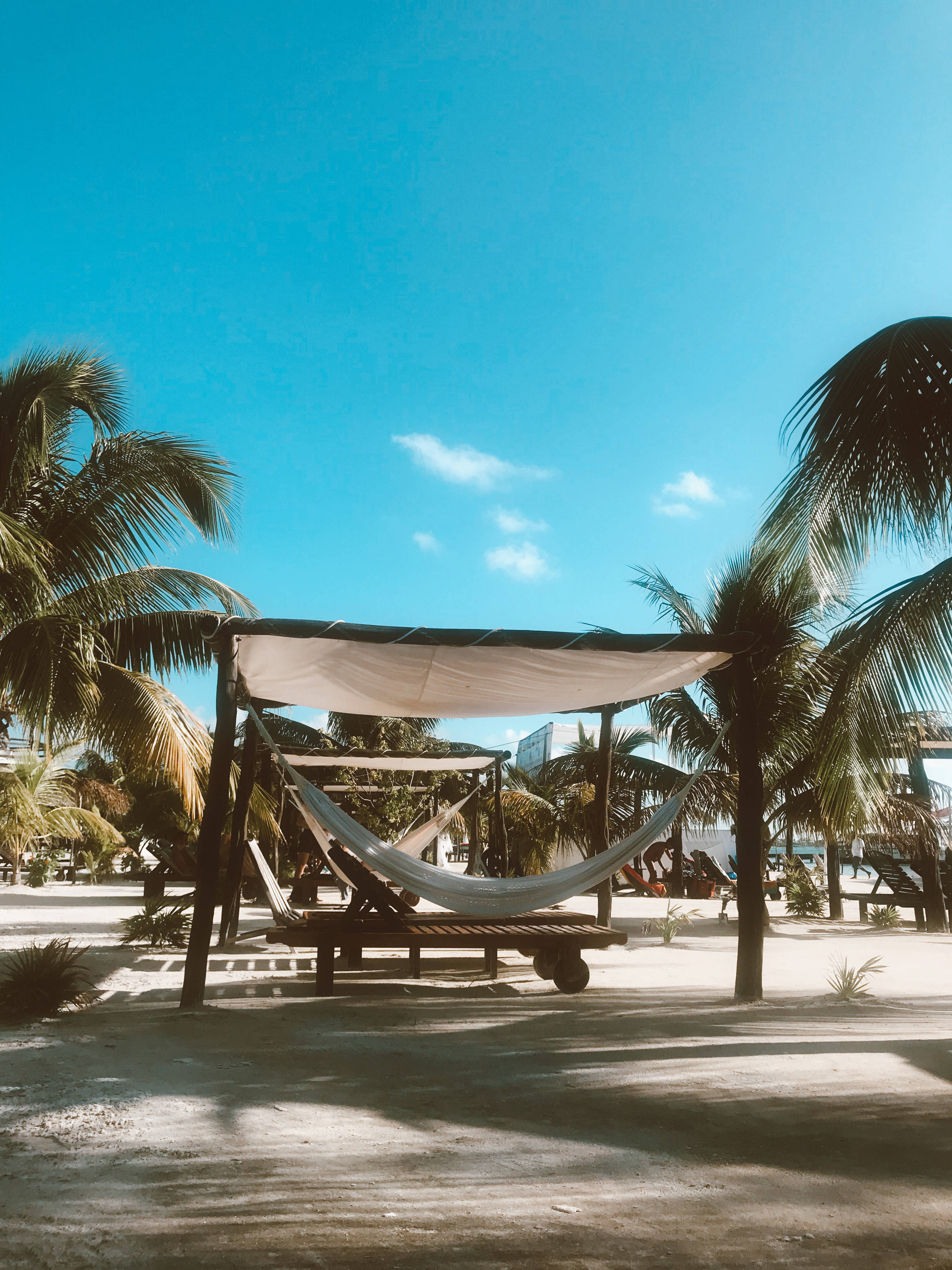 Belize 桌布 壁紙 — 吊床在晴朗藍天下的陽光沙灘上，棕櫚樹之間的遮篷下誘人地懸掛著。