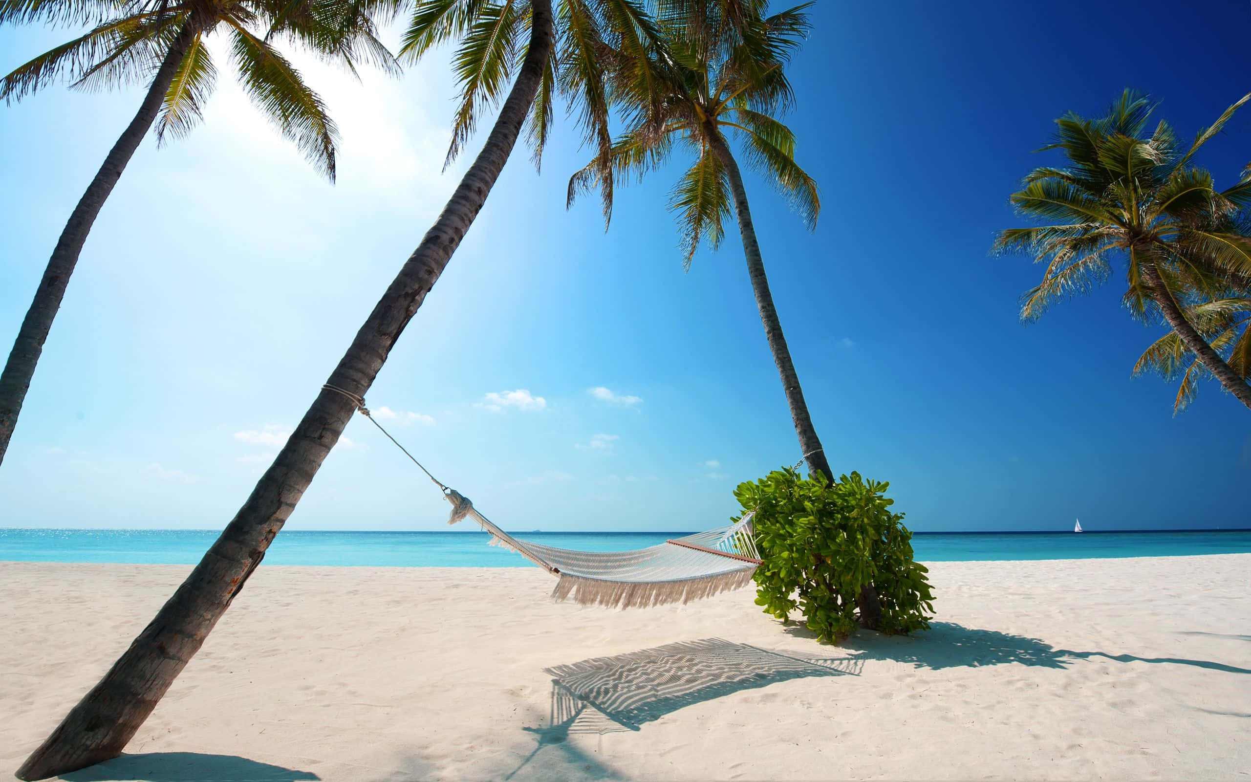 Vacation 桌布 壁紙 — 吊床在棕櫚樹之間搖擺，位於純淨的白色沙灘上，上方是清澈的藍天，還有碧綠的海洋和遠處的帆船。