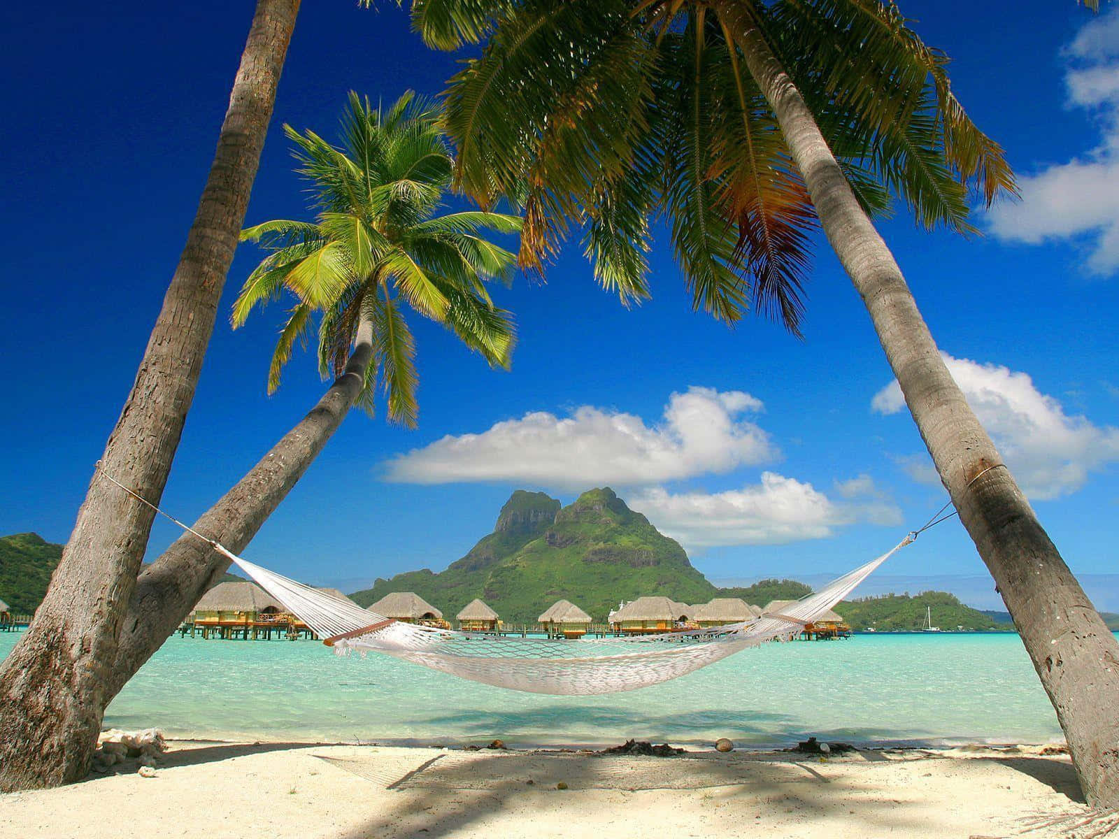Beach Desktop 桌布 壁紙 — 吊床掛在棕櫚樹之間，位於白色沙灘上，碧綠海水和水上平房，在明亮的藍天下。