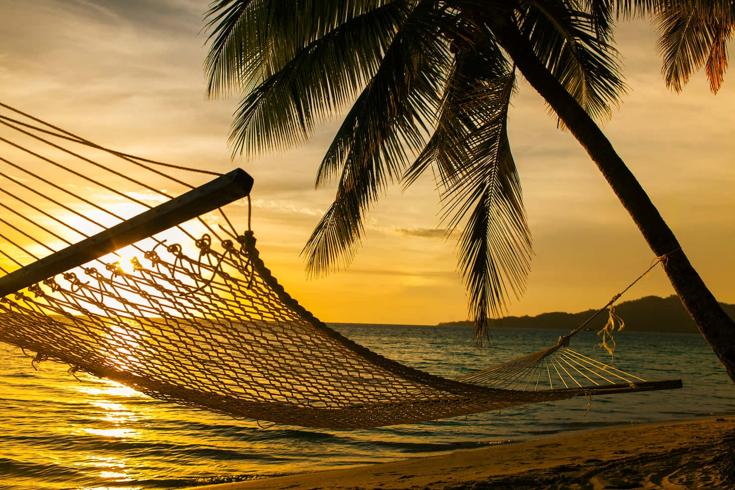 Calming Desktop 桌布 壁紙 — 吊床掛在熱帶海灘的棕櫚樹之間，夕陽在海洋上空落下，灑下金色的光芒。