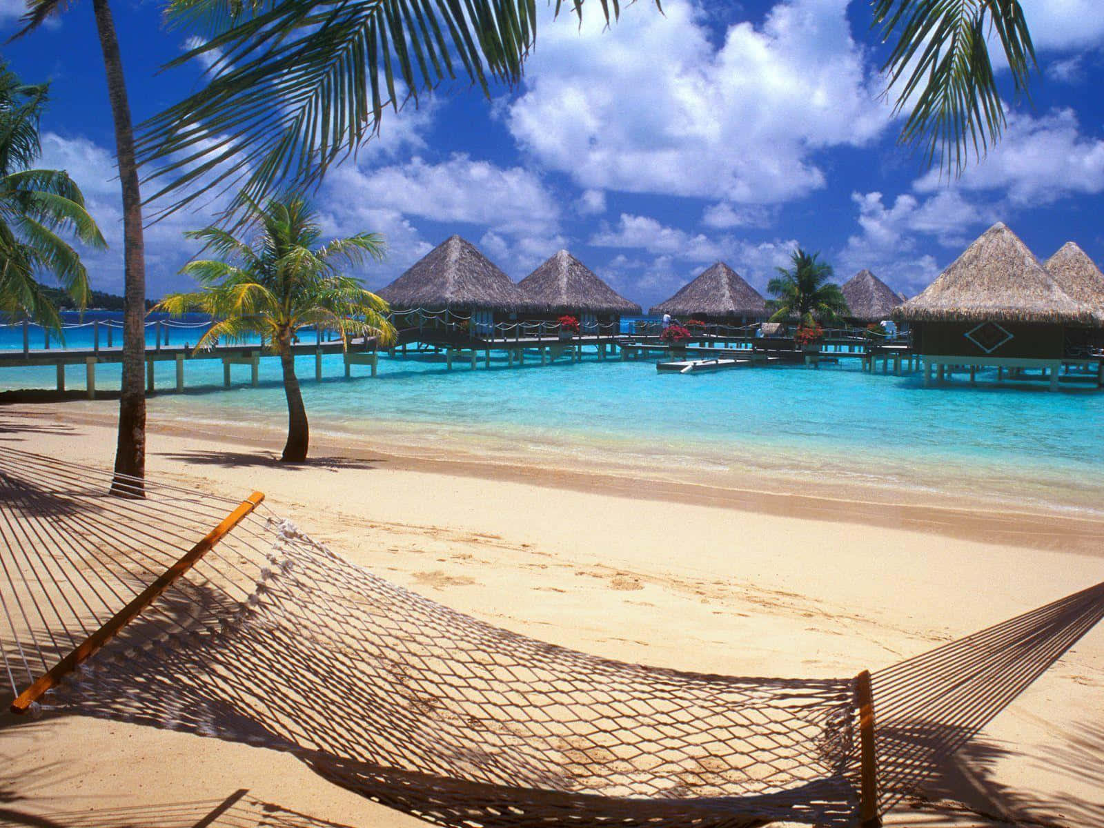 Bora Bora 桌布 壁紙 — 吊床放在沙灘上的棕櫚樹下，背景是水上平房和碧綠的海水。