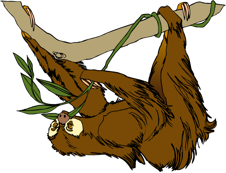 吊掛樹懶插畫 壁紙