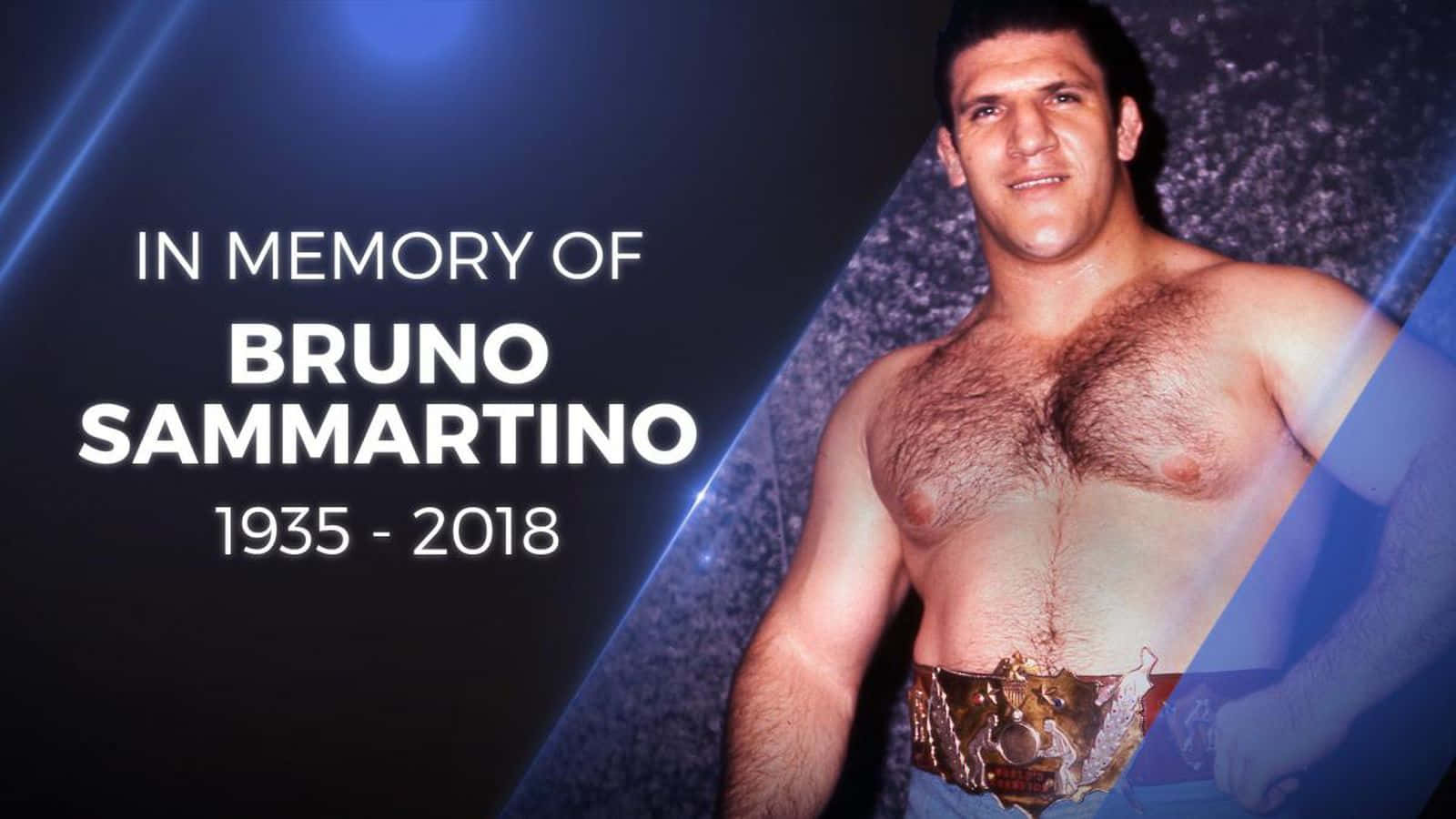 poster 桌布 壁紙 — 向摔角手 Bruno Sammartino 致敬的肖像，他佩戴冠軍腰帶，背景為深藍色聚光燈。