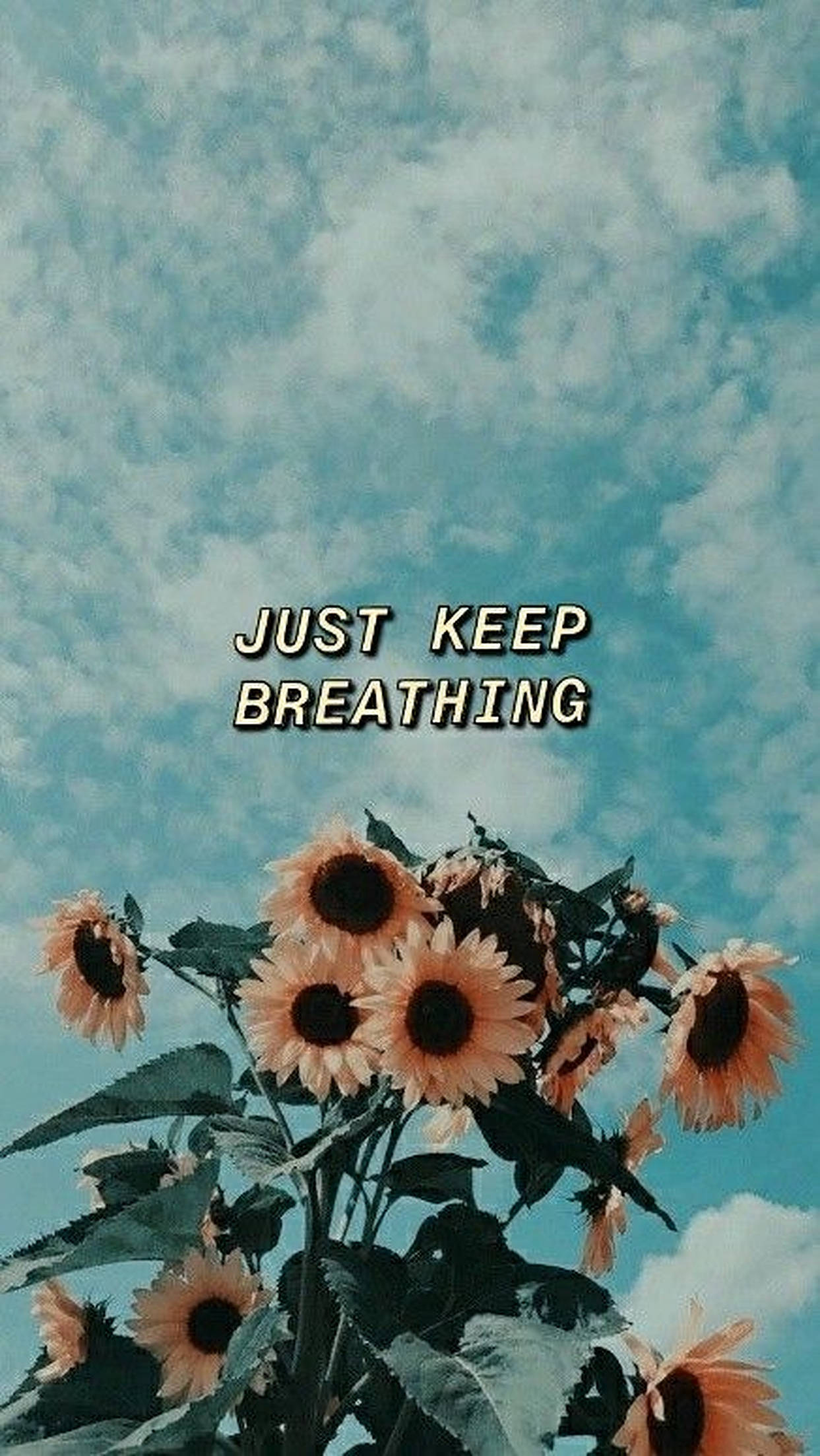 Breathing 桌布 壁紙 — 向日葵在陰雲密布的青色天空下盛開，並覆蓋著文字 just keep breathing。