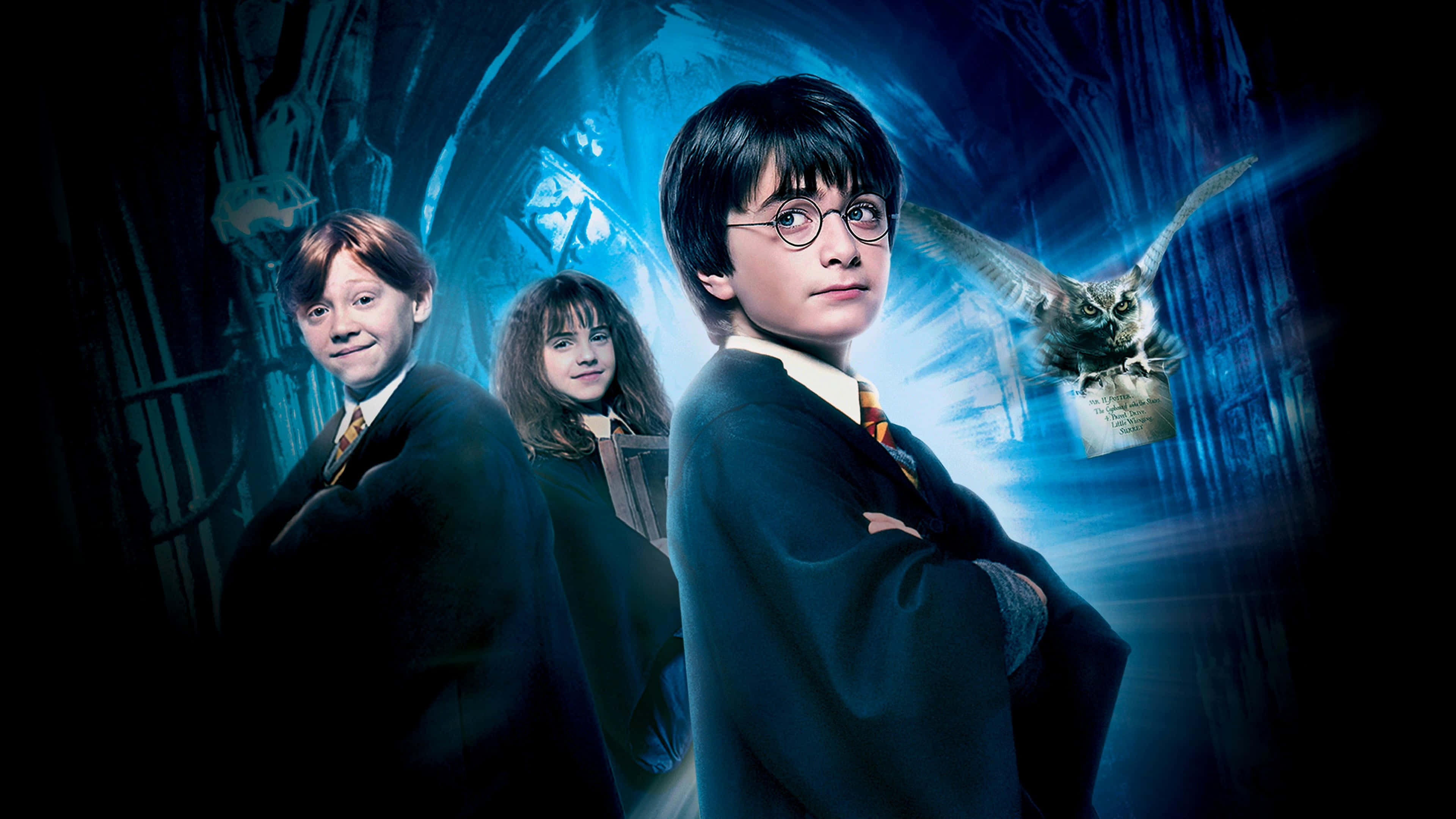 Harry Potter 4K 桌布 壁紙 — 哈利波特、榮恩和妙麗站在一條深藍色的魔法走廊中，嘿美叼著一封發光的信在他們身後飛翔。