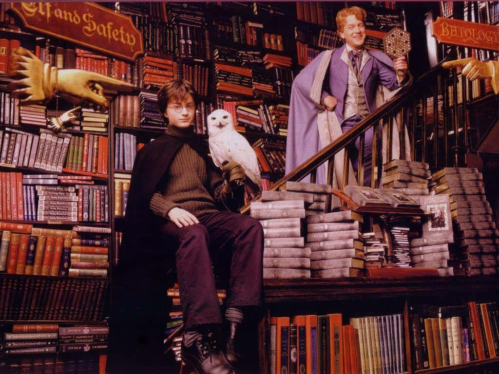 The Hogwarts Library 桌布 壁紙 — 哈利波特坐在一堆書上，他的雪鴞嘿美棲息在他的手臂上，在一個高聳、充滿書籍的圖書館中。