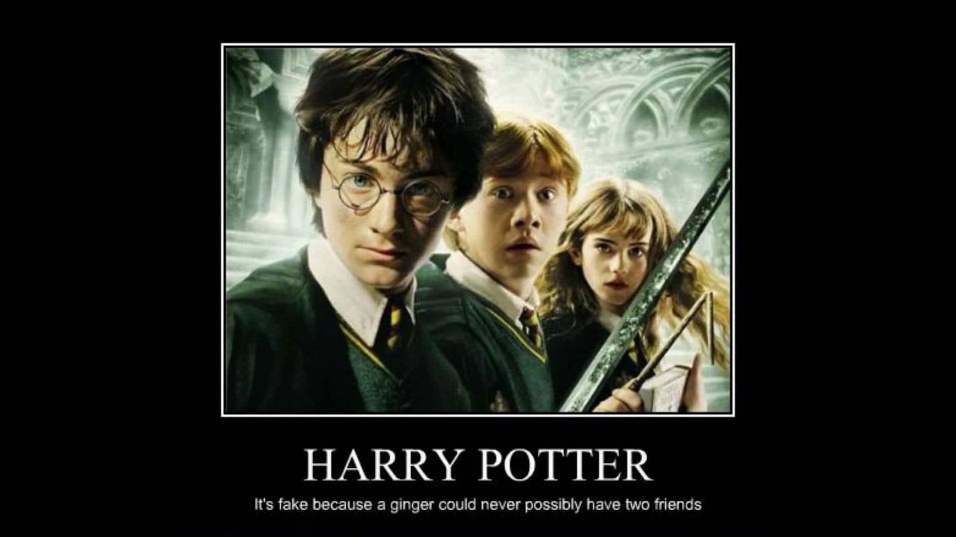 Funny Harry Potter 桌布 壁紙 — 哈利波特榮恩和妙麗穿著霍格華茲長袍，手持魔杖，在石拱門背景下顯得震驚。