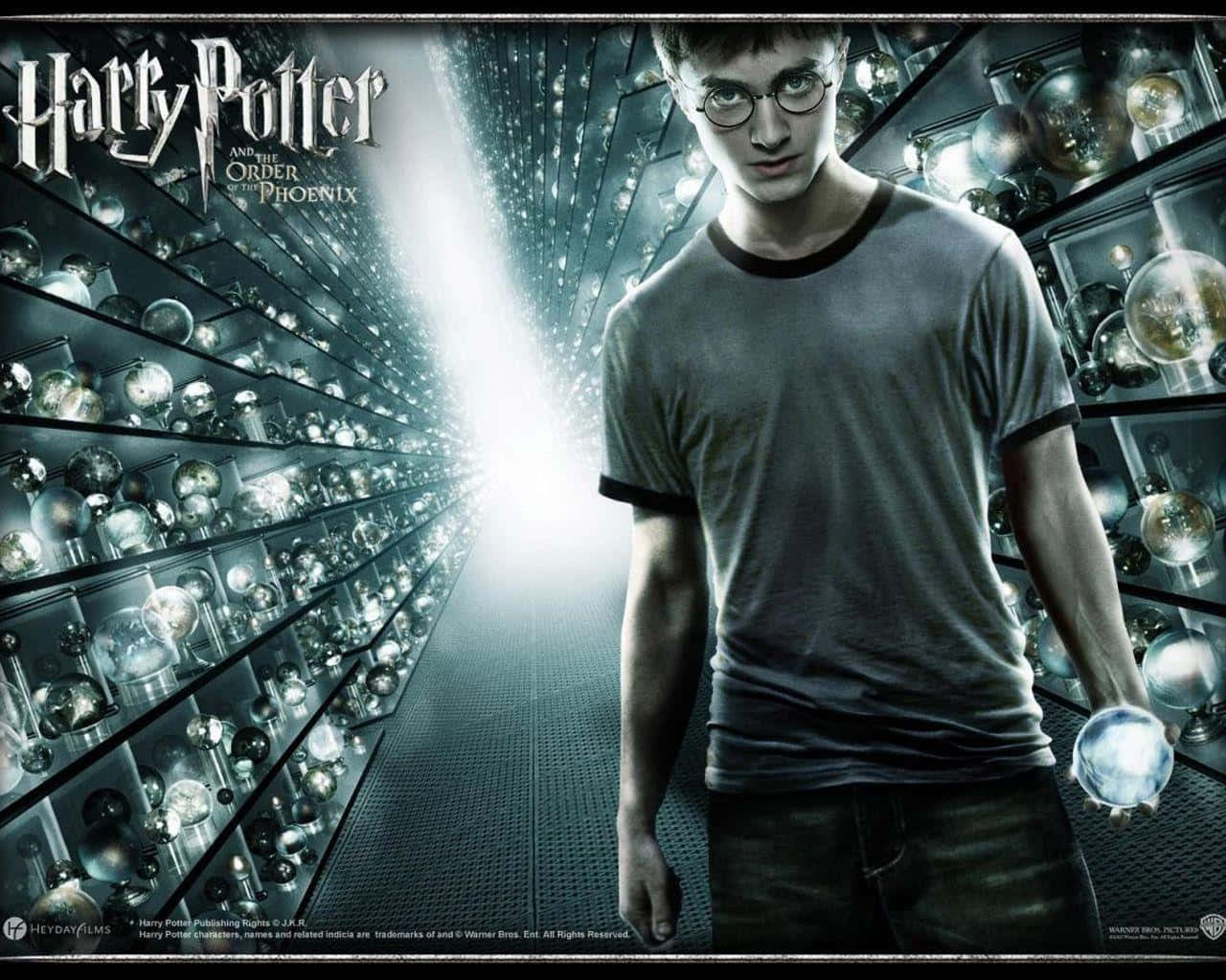Harry Potter All Characters 桌布 壁紙 — 哈利波特站在一個昏暗的走廊，兩旁是裝滿發光球體的架子，身後有一道明亮的光束。