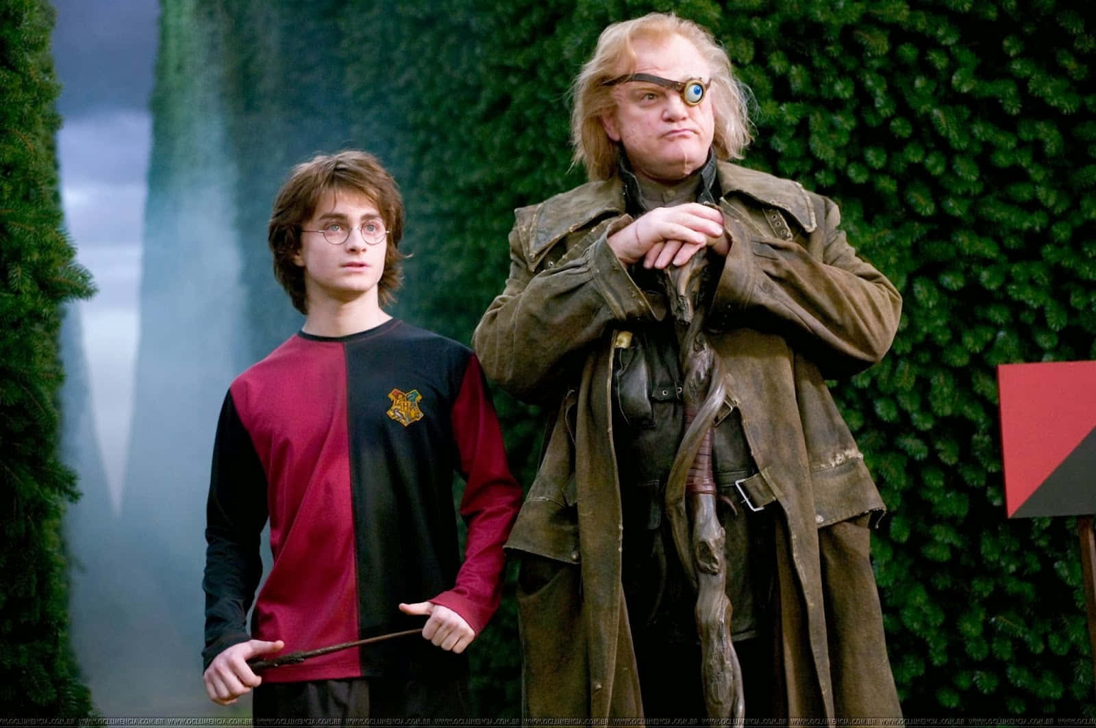 The Goblet Of Fire 桌布 壁紙 — 哈利波特站在一個畸形的巫師旁邊，身後是長滿苔蘚的森林和瀑布。