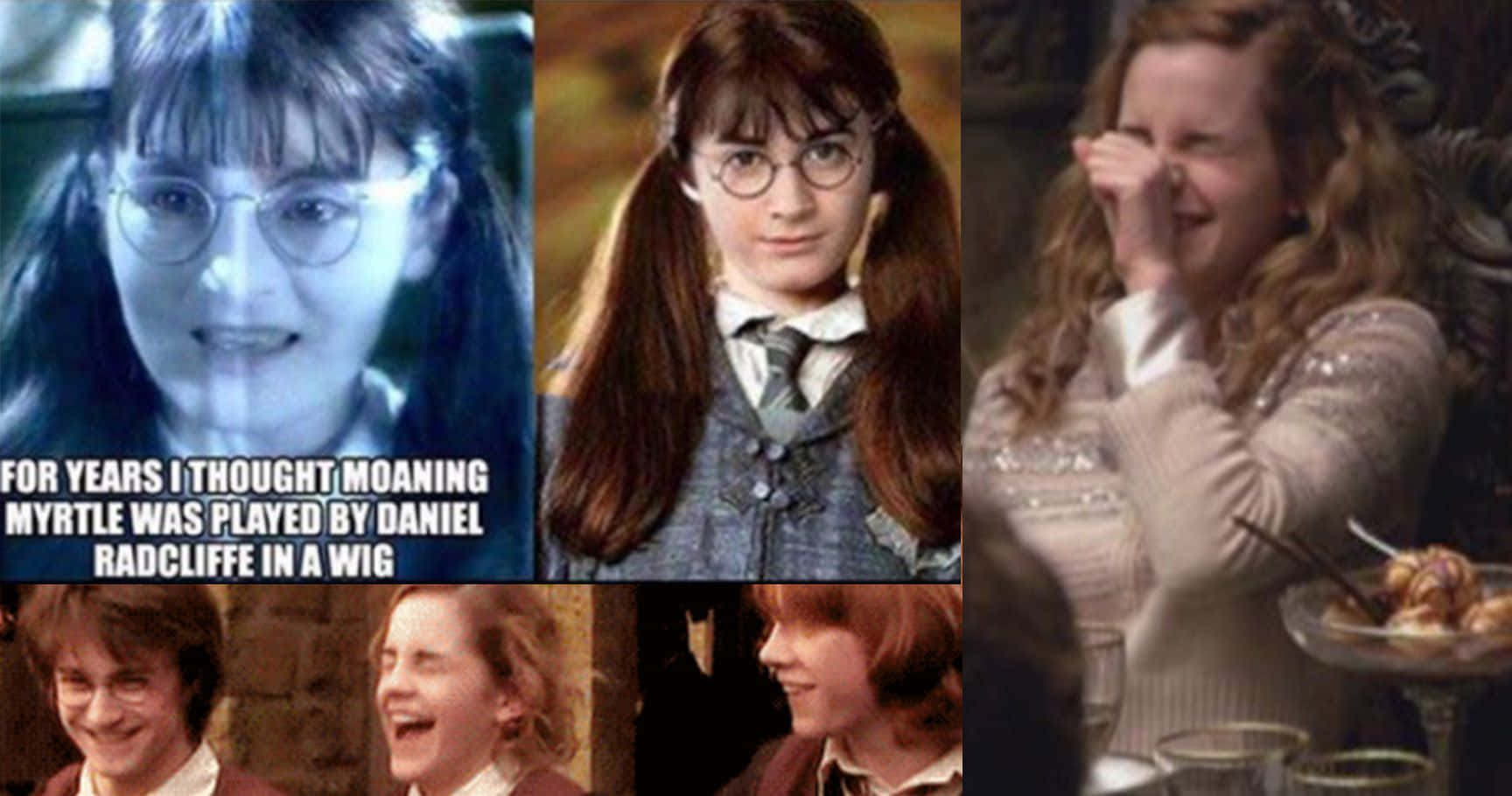 Funny Harry Potter 桌布 壁紙 — 哈利波特角色拼貼圖，文字幽默地聲稱丹尼爾·雷德克里夫戴假髮飾演哭泣的桃金娘。