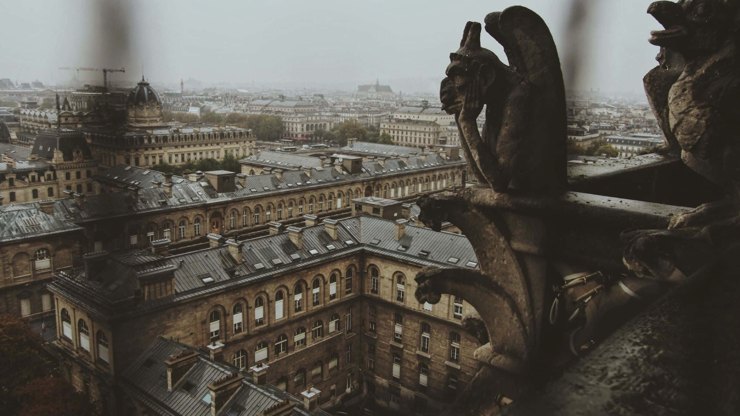 Dark Academia Aesthetic 桌布 壁紙 — 哥德式滴水獸俯瞰著霧氣瀰漫的巴黎城市景觀，歷史悠久的屋頂和遠處的圓頂在陰天之下。