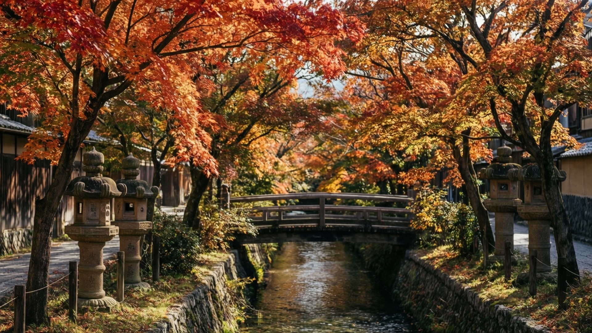 京都哲學之道旁的秋葉