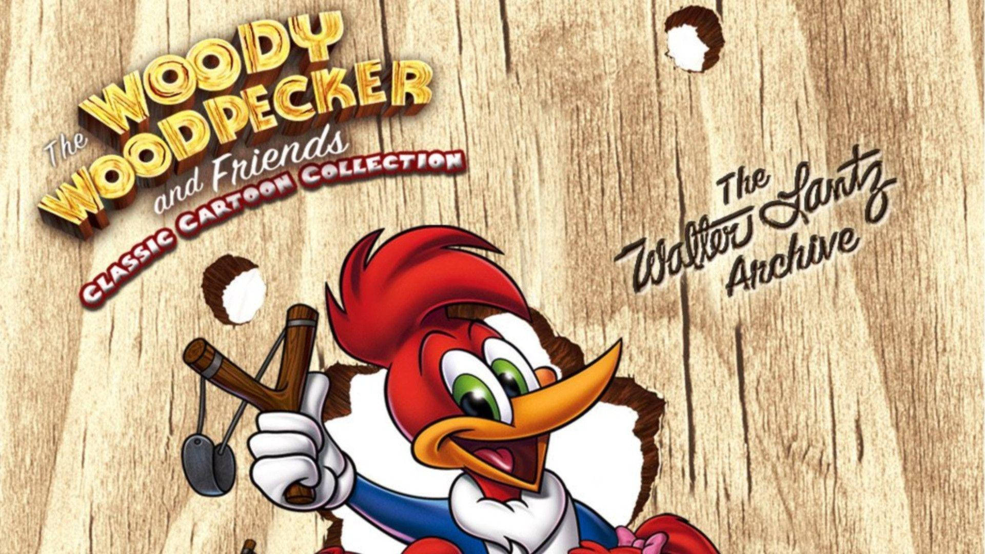 Woody Woodpecker 桌布 壁紙 — 啄木鳥伍迪拿著彈弓穿過木牆，周圍有卡通文字和洞。