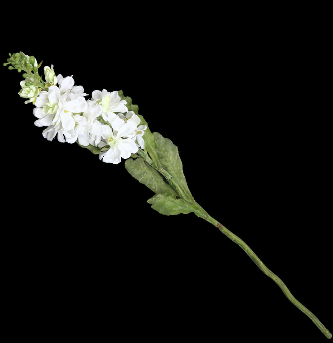 White Flowers 桌布 壁紙 — 單一枝帶有綠葉的白花莖，以對角線方式排列在純黑背景上。