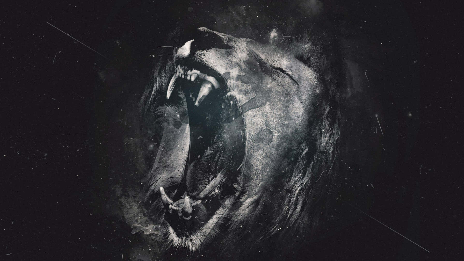 Black Lion 桌布 壁紙 — 單色咆哮獅子頭，背後有宇宙星星和條紋。