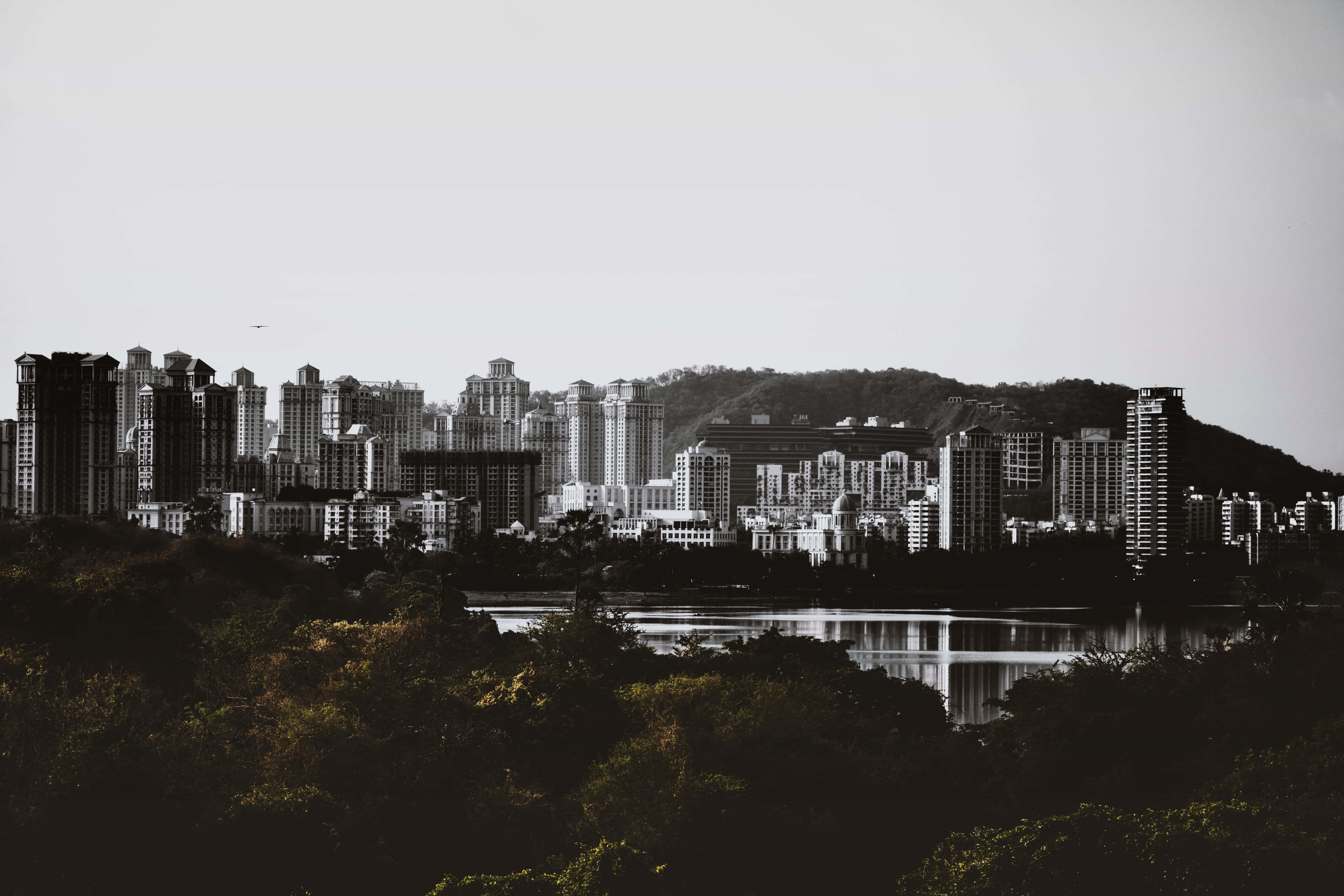 城市 桌布 壁紙 — 單色城市景觀，高樓大廈倒映在平靜的水面上，由深色樹木框住。