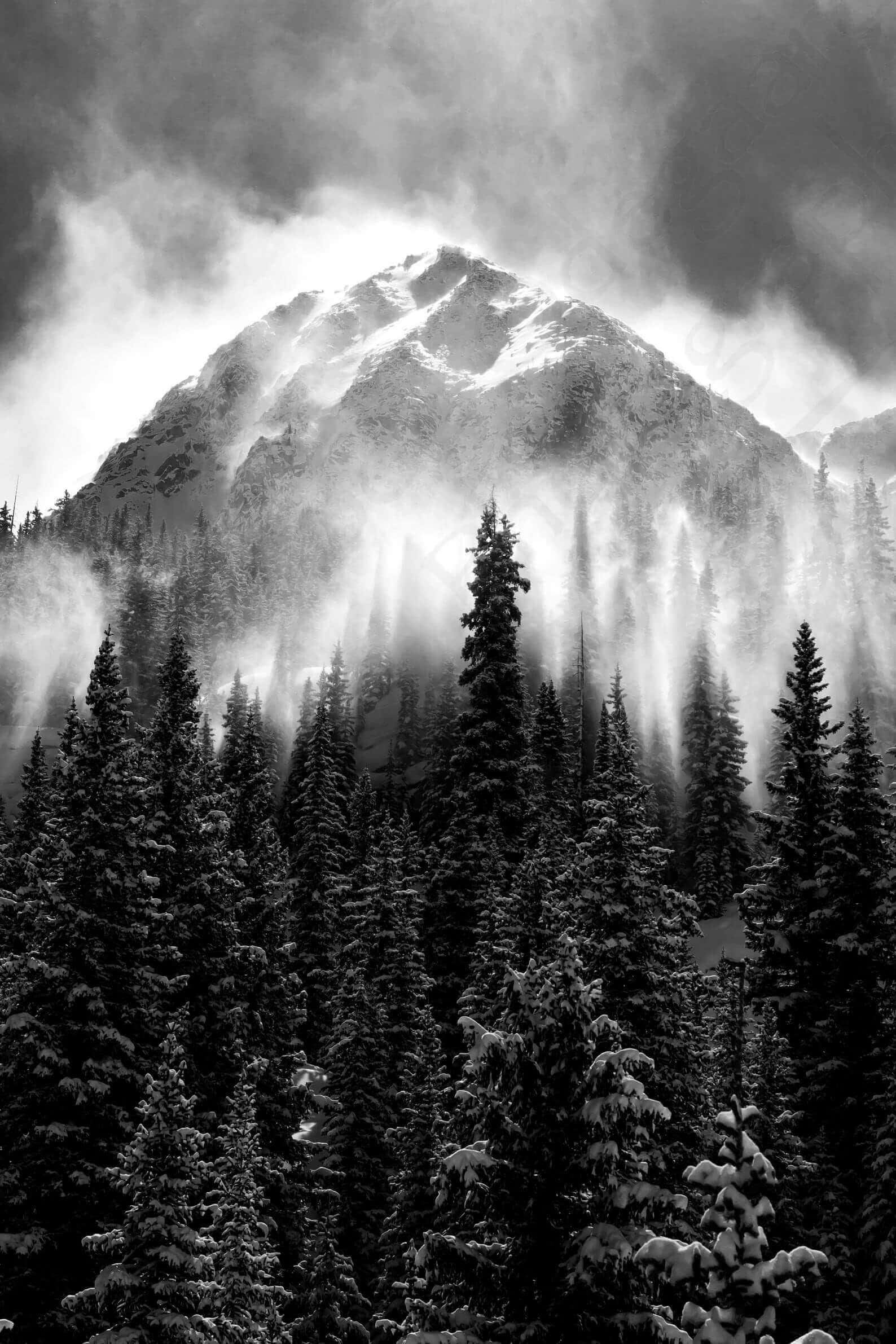 Aesthetic Black And White 桌布 壁紙 — 單色山峰穿過薄霧，前景有被雪覆蓋的松樹。