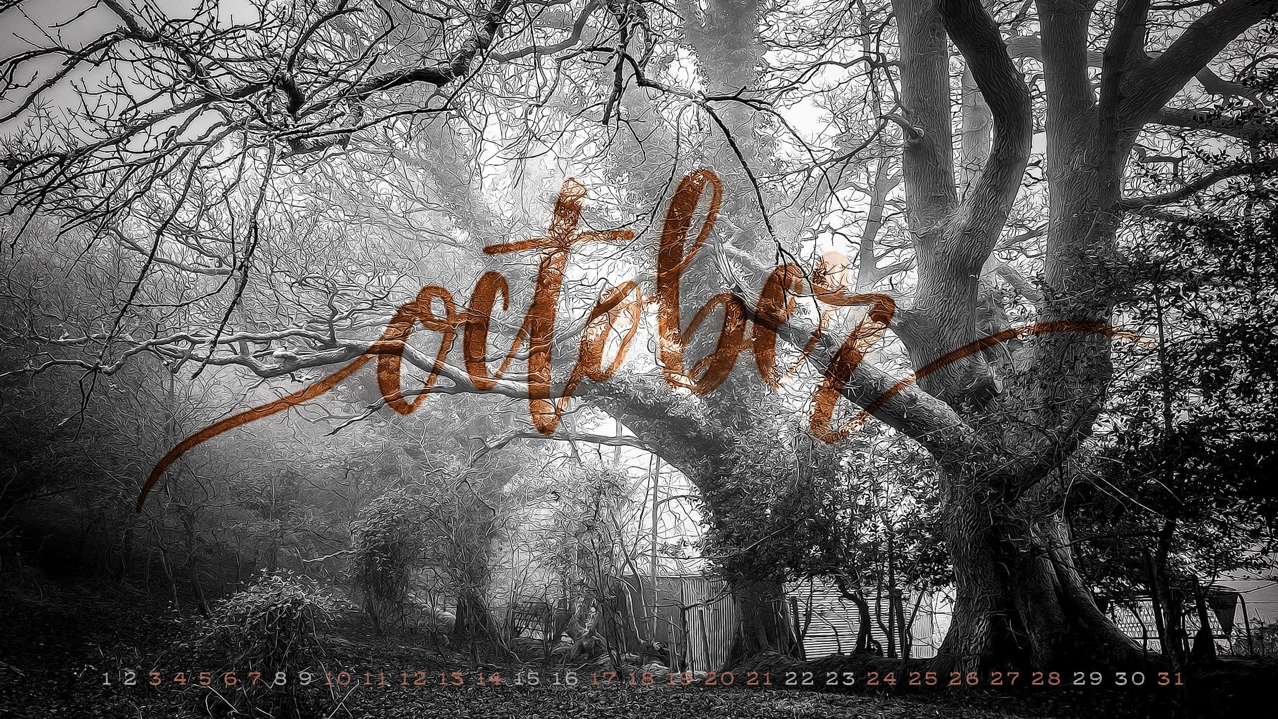 恐怖動圖 桌布 壁紙 — 單色森林場景，有光禿禿的樹木和銅色的 'october' 文字覆蓋在日曆網格上。
