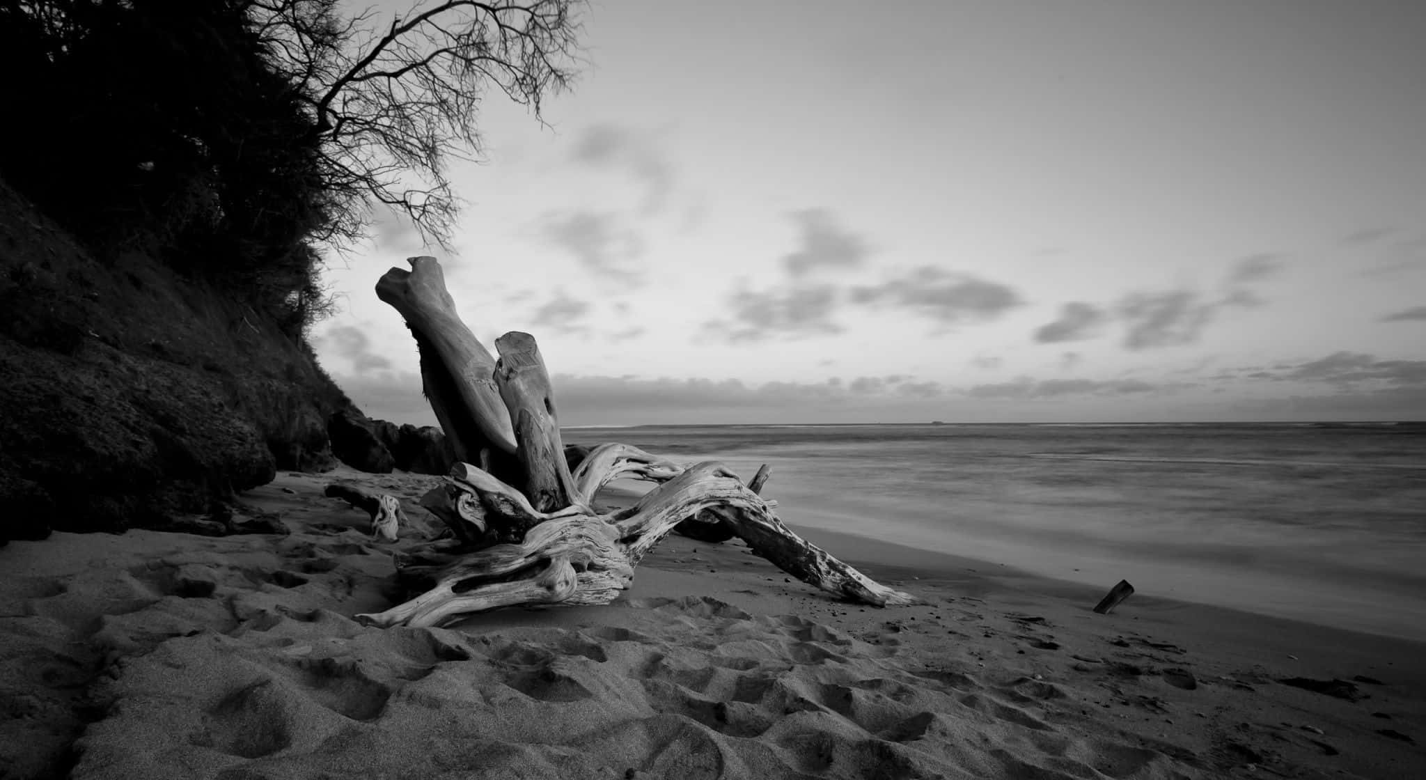 Black And White Beach 桌布 壁紙 — 單色海灘場景，在陰暗的黃昏天空下，風化的浮木躺在有紋理的沙灘上。