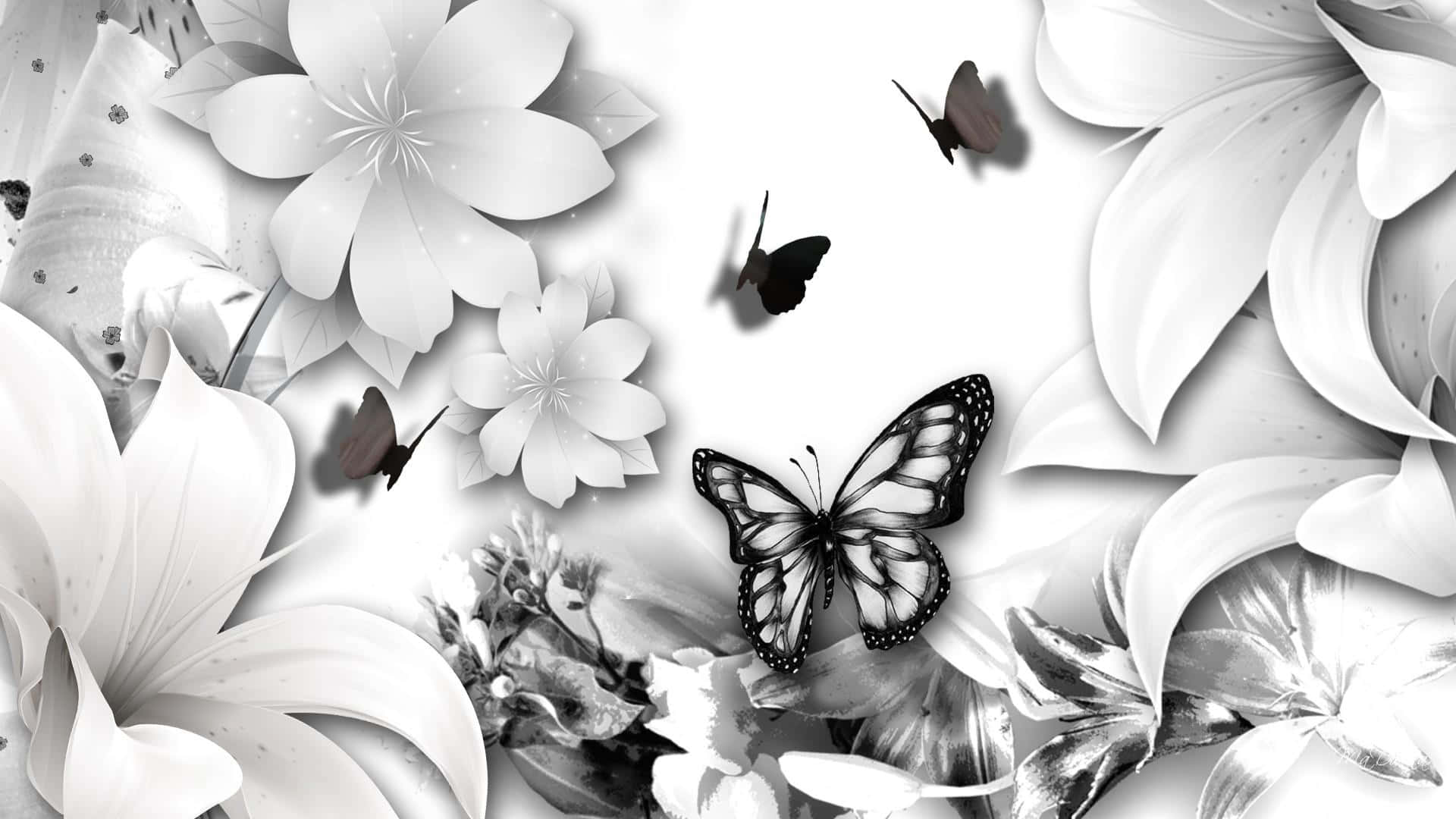 White Butterfly 桌布 壁紙 — 單色花卉壁紙，上有大百合花和細節豐富的蝴蝶在花瓣間優雅飄舞。