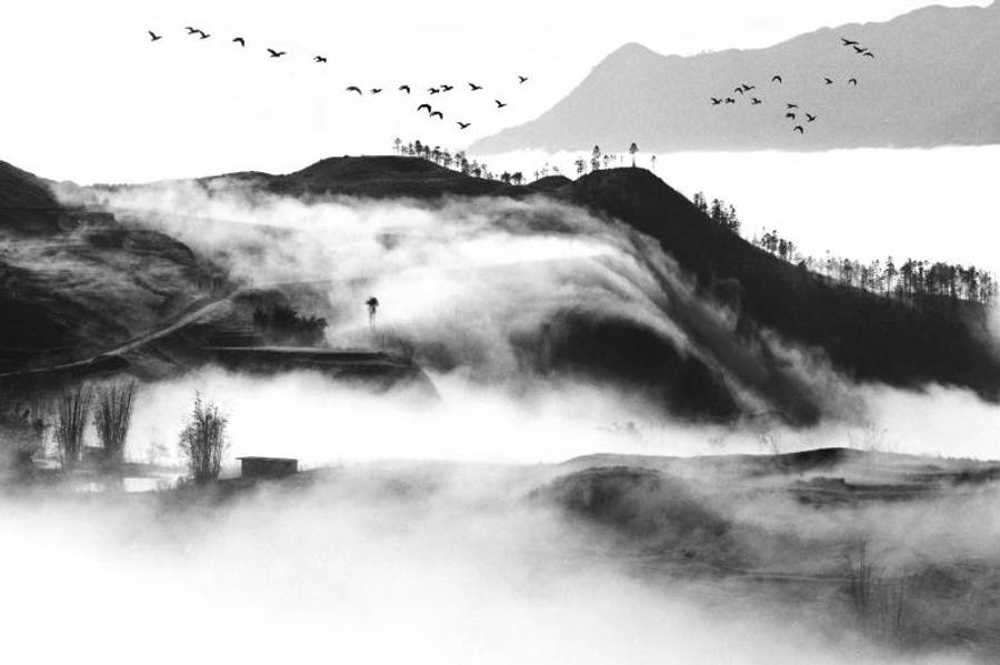 birds 桌布 壁紙 — 單色薄霧籠罩著起伏的山丘，鳥兒在寧靜的山谷上空翱翔。