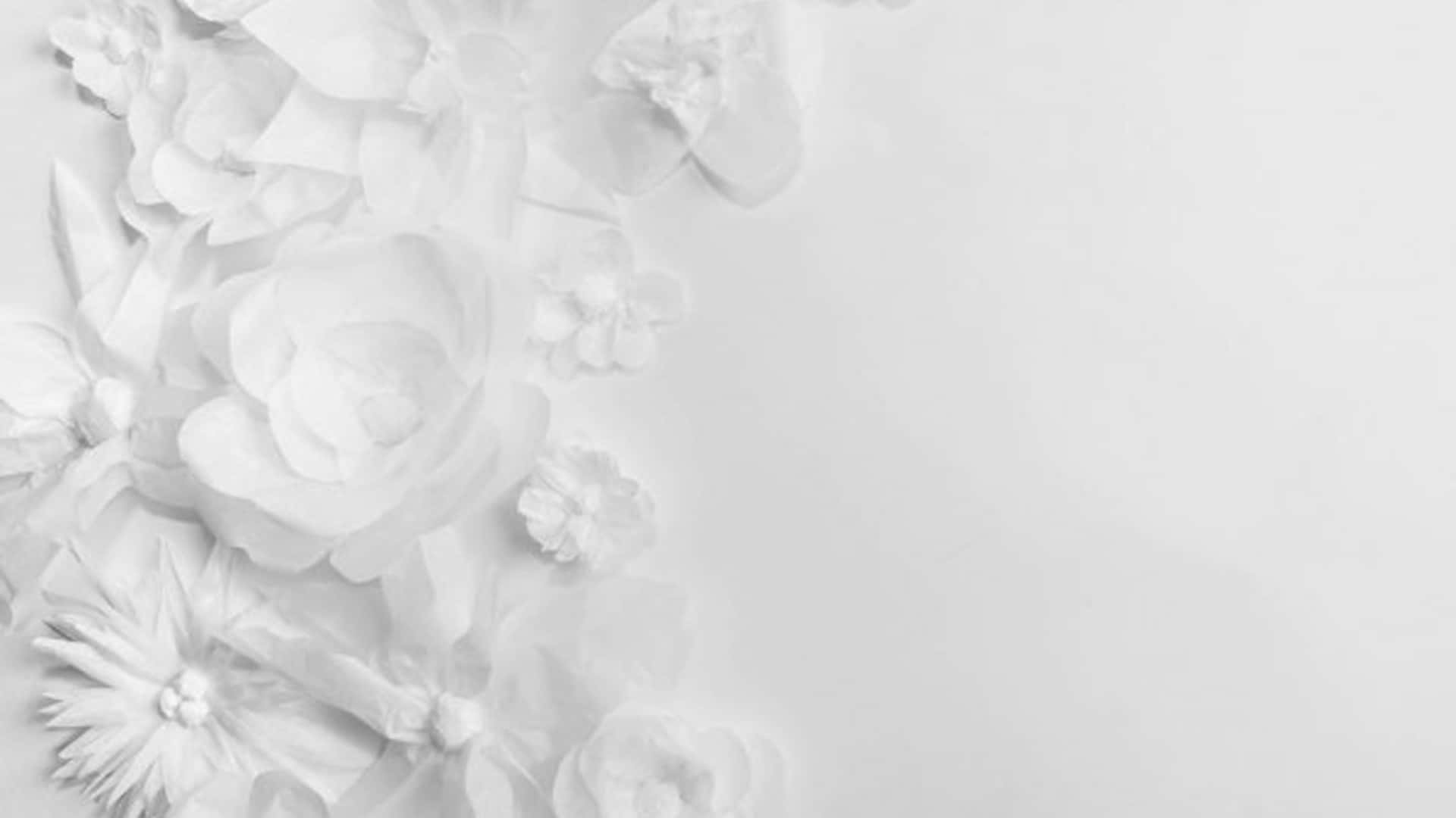 White Solid 桌布 壁紙 — 單色調的細緻紙花排列，沿對角線在柔軟的白色背景上傾瀉而下。