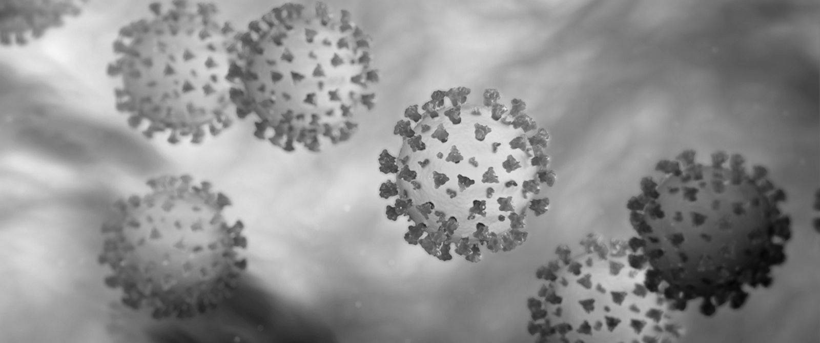 Coronavirus 桌布 壁紙 — 單色顯微鏡視圖，顯示帶有刺突蛋白的球形病毒顆粒漂浮在雲狀介質中。