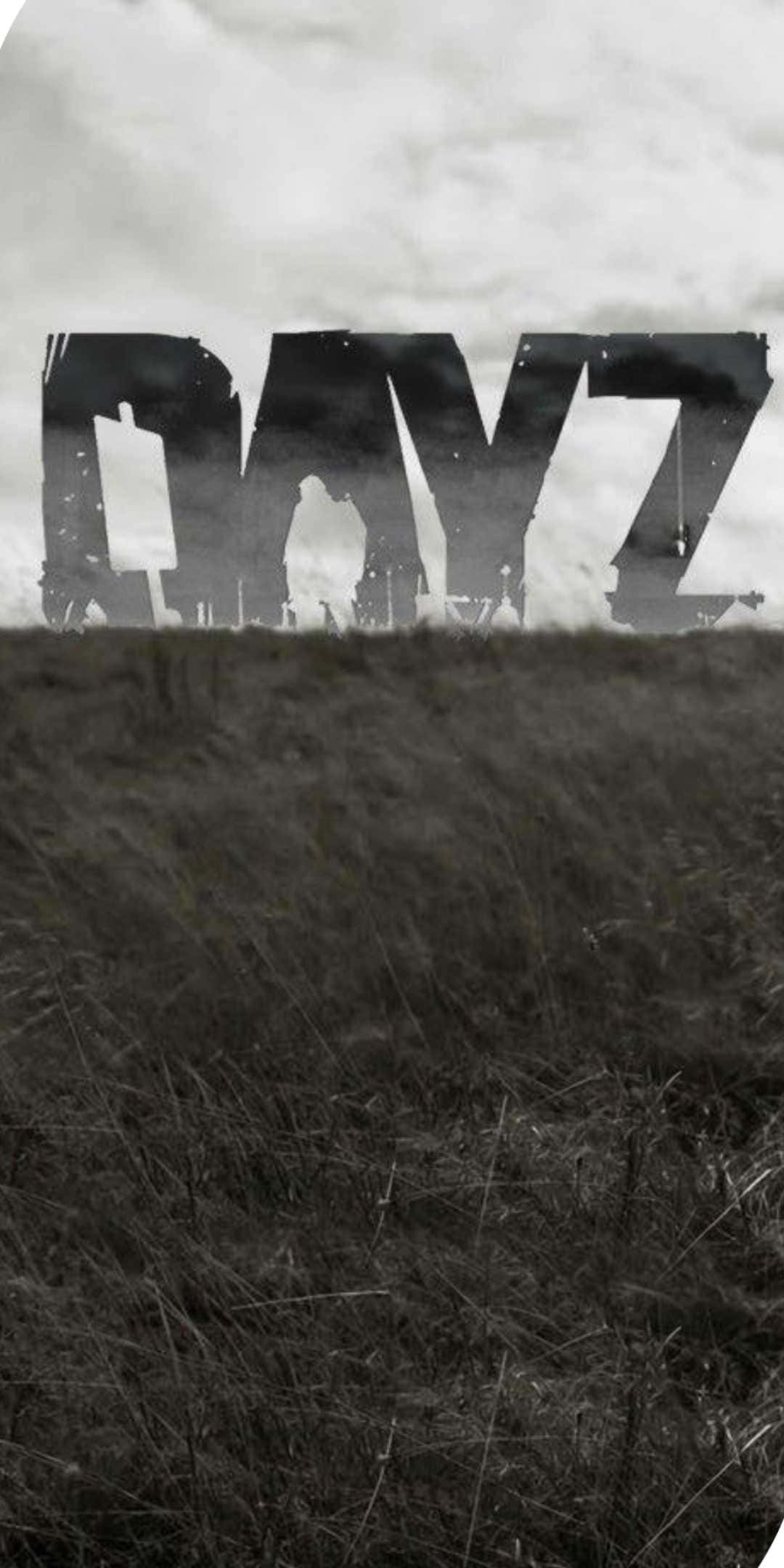 電玩遊戲 桌布 壁紙 — 單色高草田野，大膽的「DAYZ」標誌在陰雲密布的天空下若隱若現。