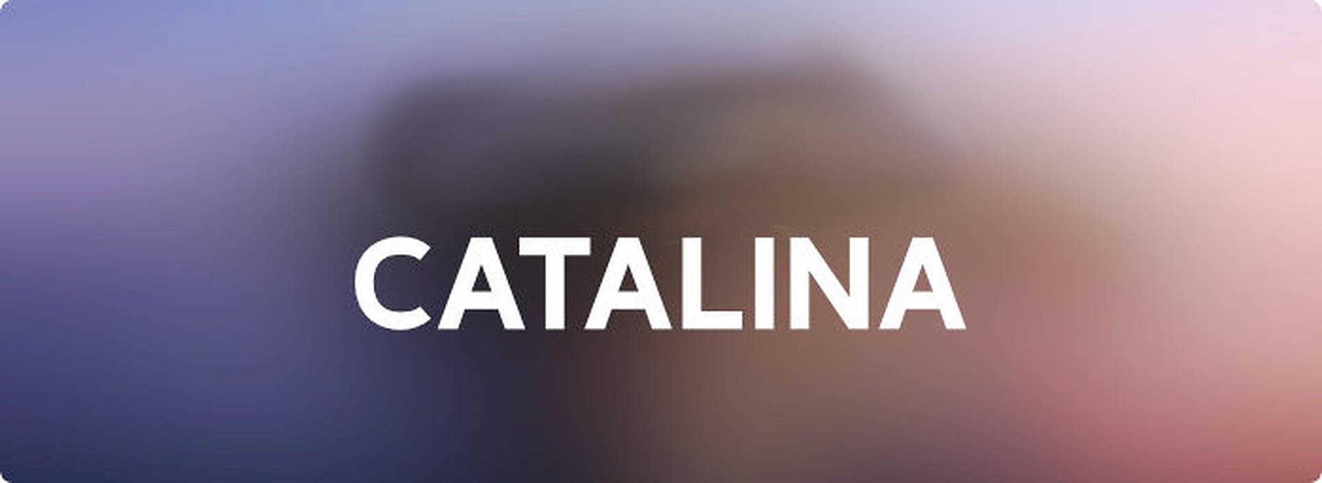 Catalina 桌布 壁紙 — 單詞 catalina 在模糊背景上以紫色和粉紅色的柔和漸變色調浮現。