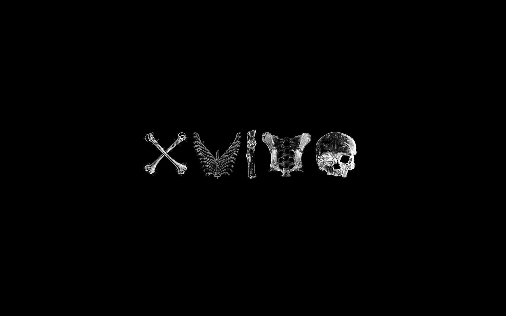 Medical 桌布 壁紙 — 單詞「XVIVO」由骨骼和頭骨以單色在黑色背景上形成。