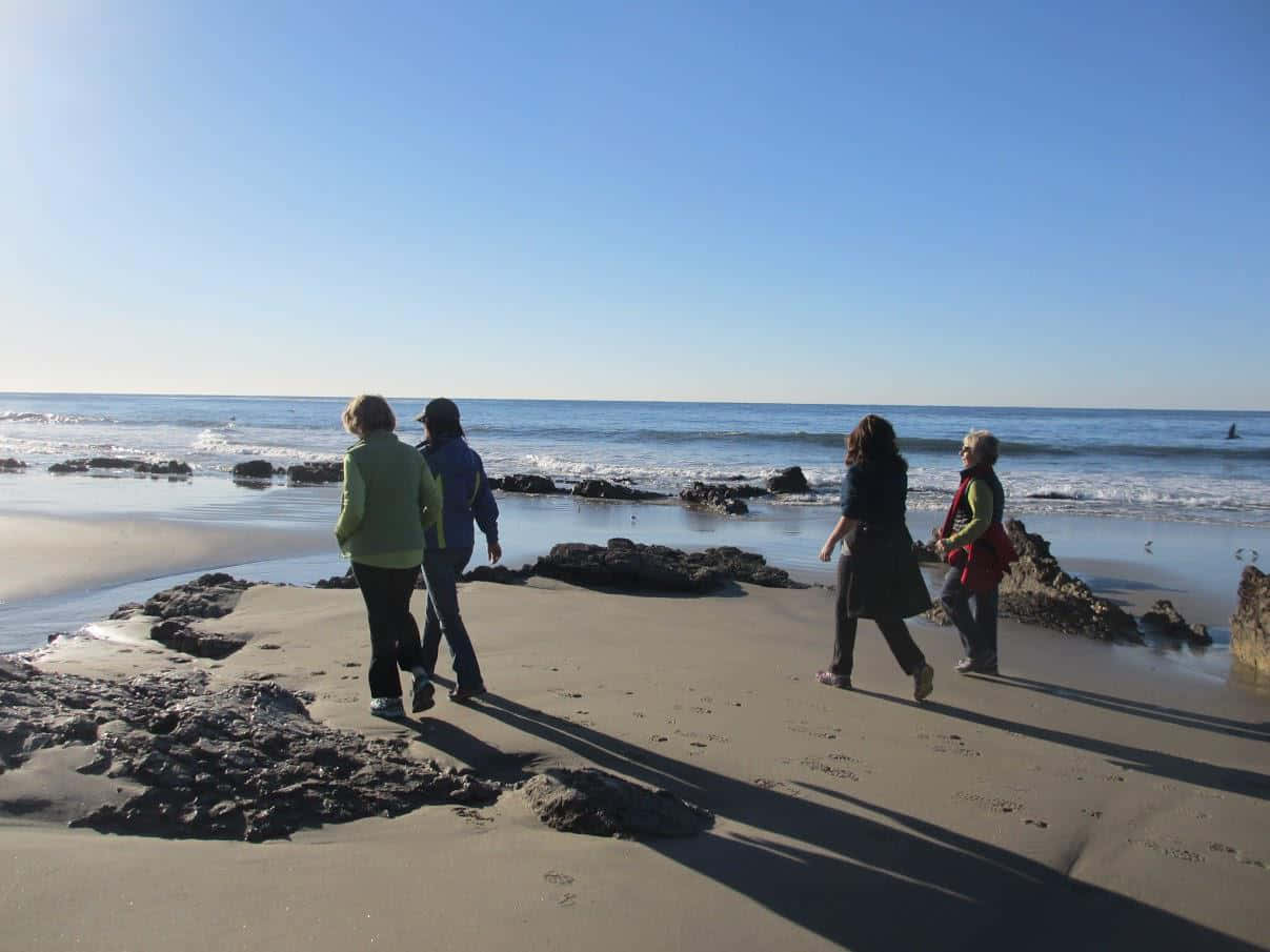 Beach Walk 桌布 壁紙 — 四人在陽光明媚的海灘上漫步，沙灘濕潤，岩石散落，天空湛藍清澈。