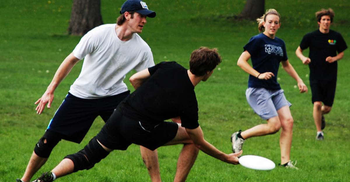 Frisbee 桌布 壁紙 — 四位年輕成年人在陽光明媚的草地上充滿活力地玩極限飛盤，背景有樹木。