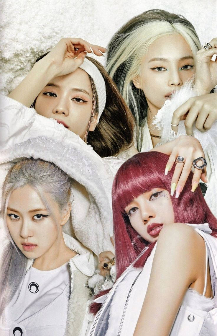 BLACKPINK 桌布 壁紙 — 四位時尚女性以鮮豔的髮色，自信地穿著白色質感服裝，在毛絨背景前擺姿勢。