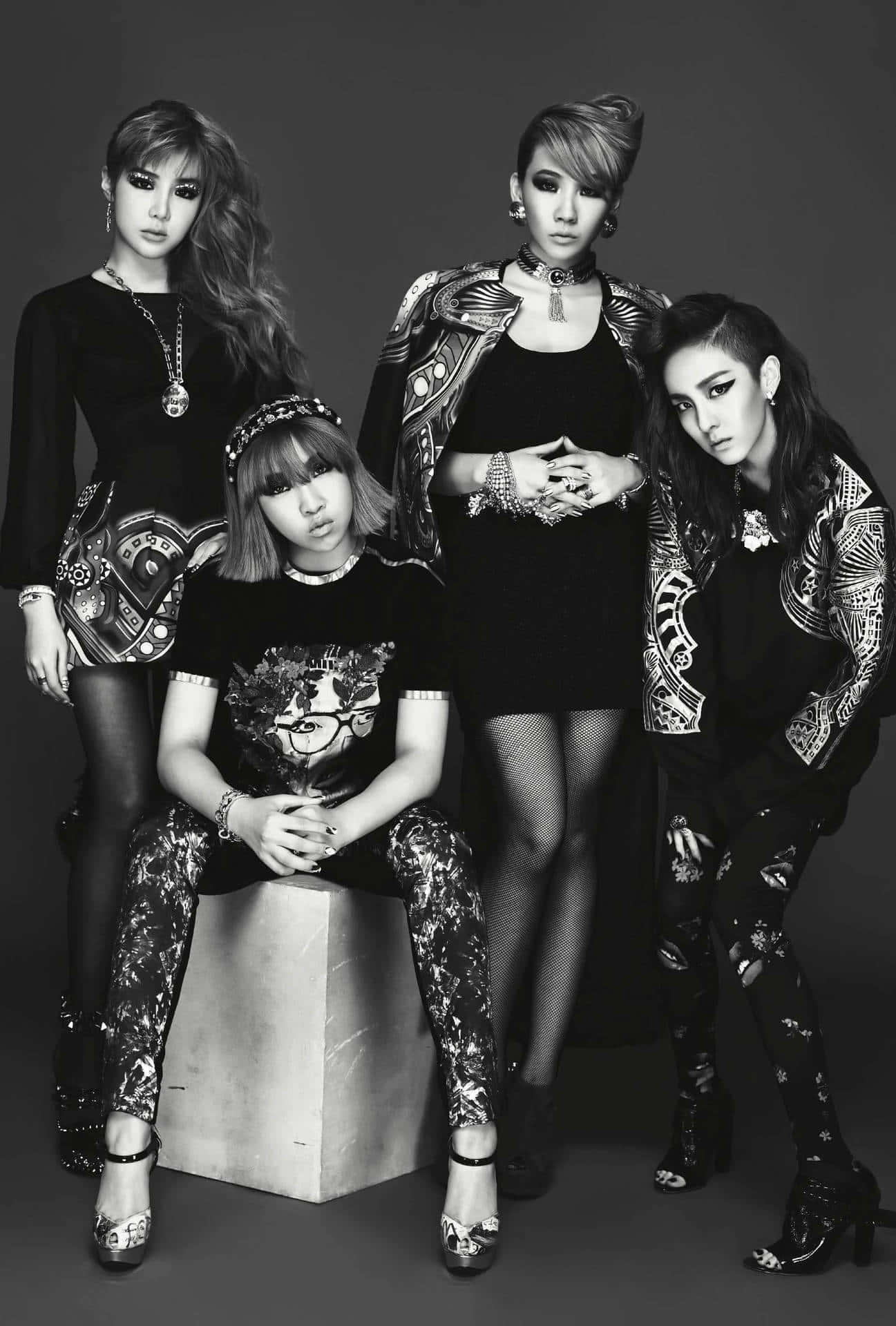 2ne1 桌布 壁紙 — 四位時尚女性穿著大膽的黑白服裝，在純灰色背景前自信地擺姿勢。