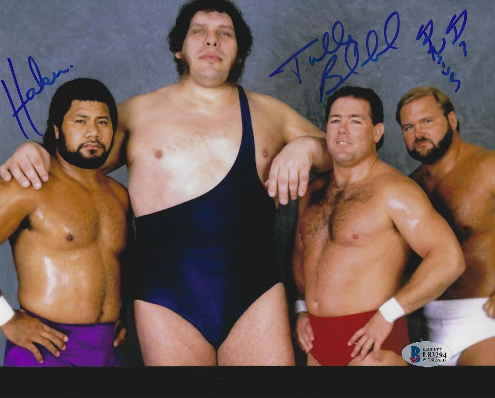 Andre The Giant 桌布 壁紙 — 四位肌肉發達的摔角手穿著色彩繽紛的短褲，在可見簽名的純灰色背景前自信地擺姿勢。