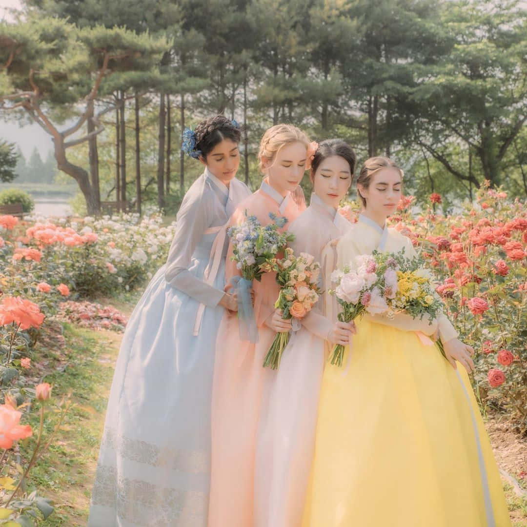 Bridesmaids 桌布 壁紙 — 四位身穿柔和色調韓服的女士，在柔和日光下優雅地站在盛開的玫瑰叢中。