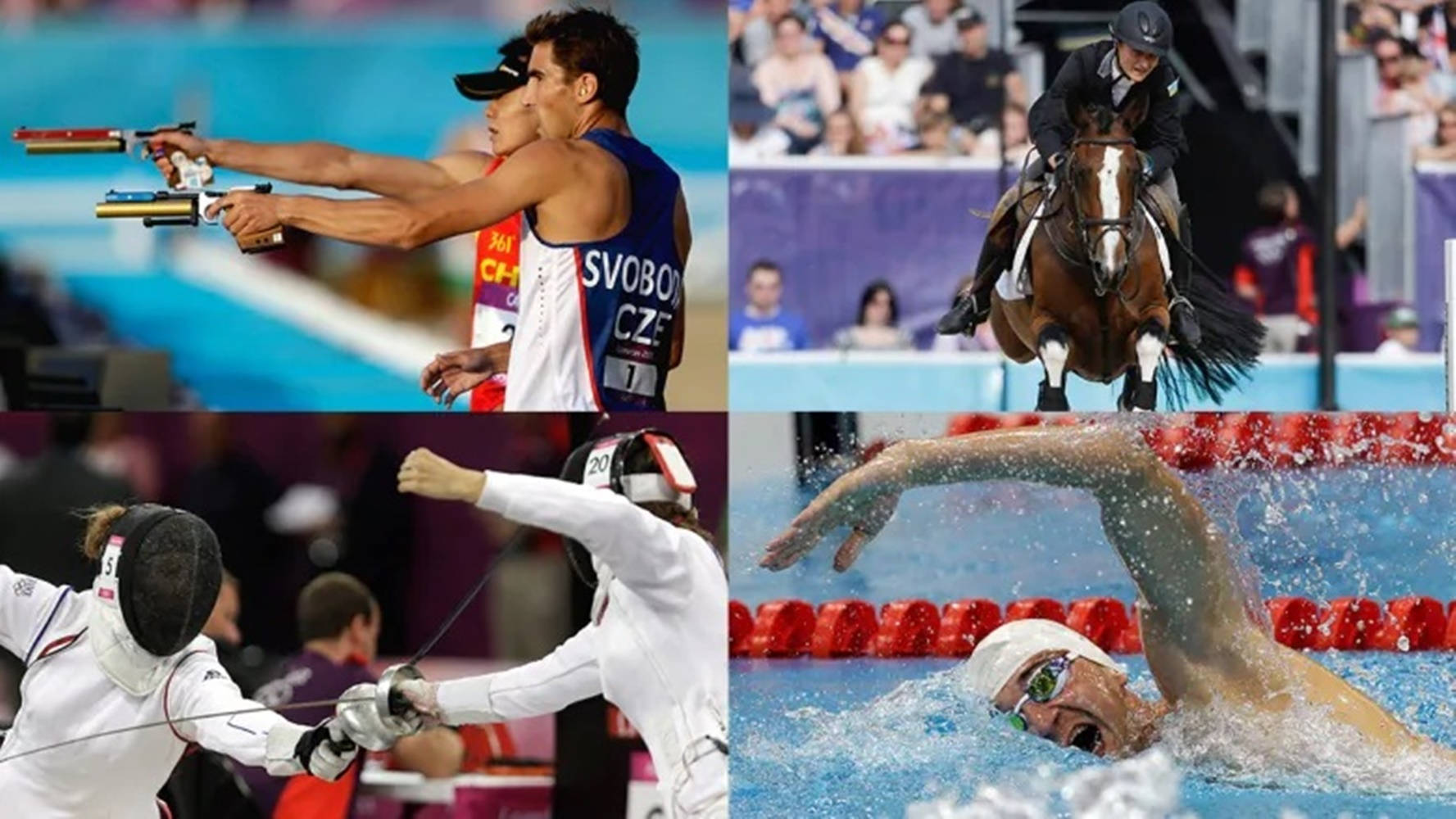 Swimming 桌布 壁紙 — 四位運動員在充滿活力的奧運場館中，於射擊、擊劍、馬術和游泳項目中激烈競爭。