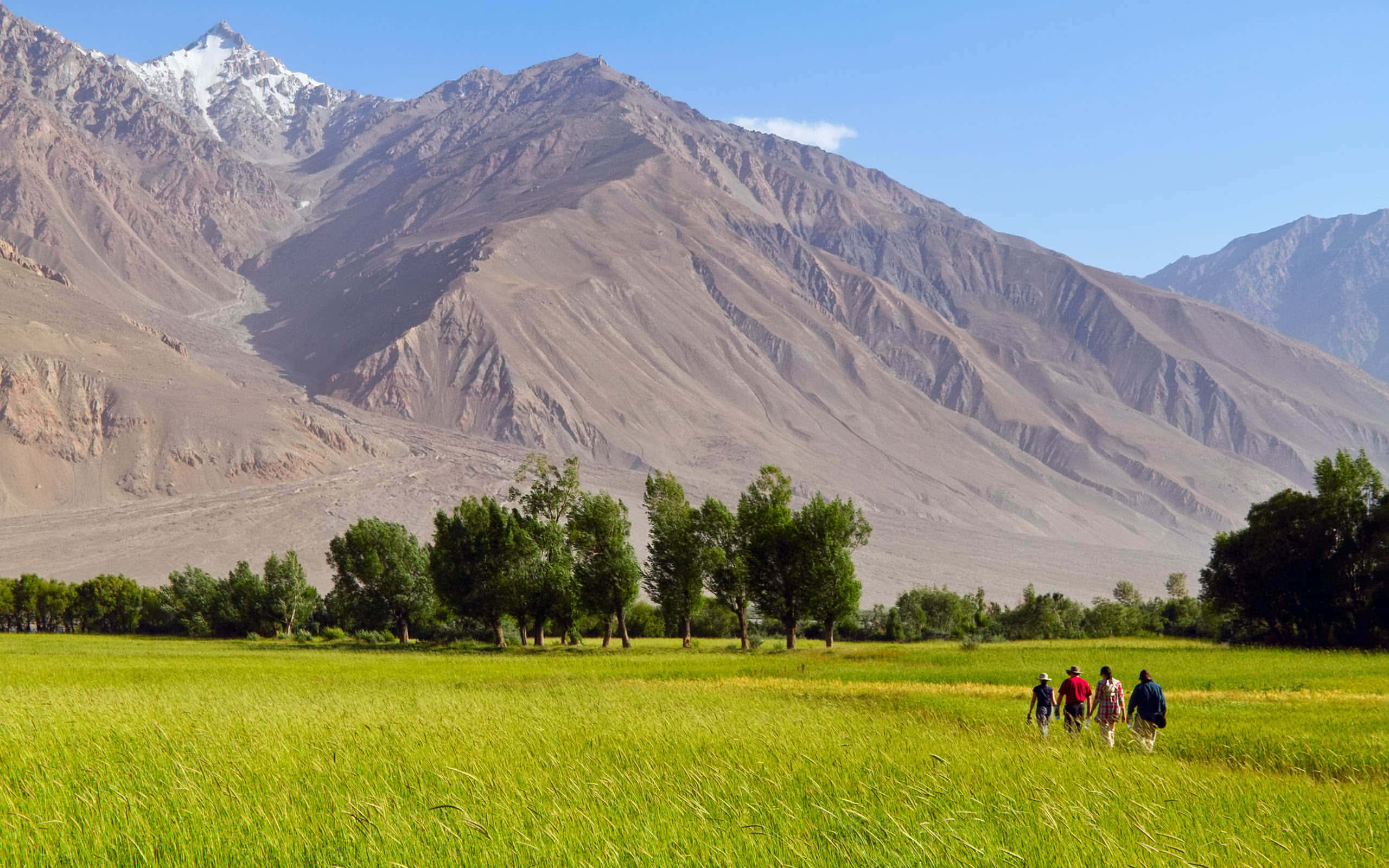 Afghanistan 桌布 壁紙 — 四位遠足人士在晴朗的藍天下，穿越高聳積雪山脈下的翠綠草地。