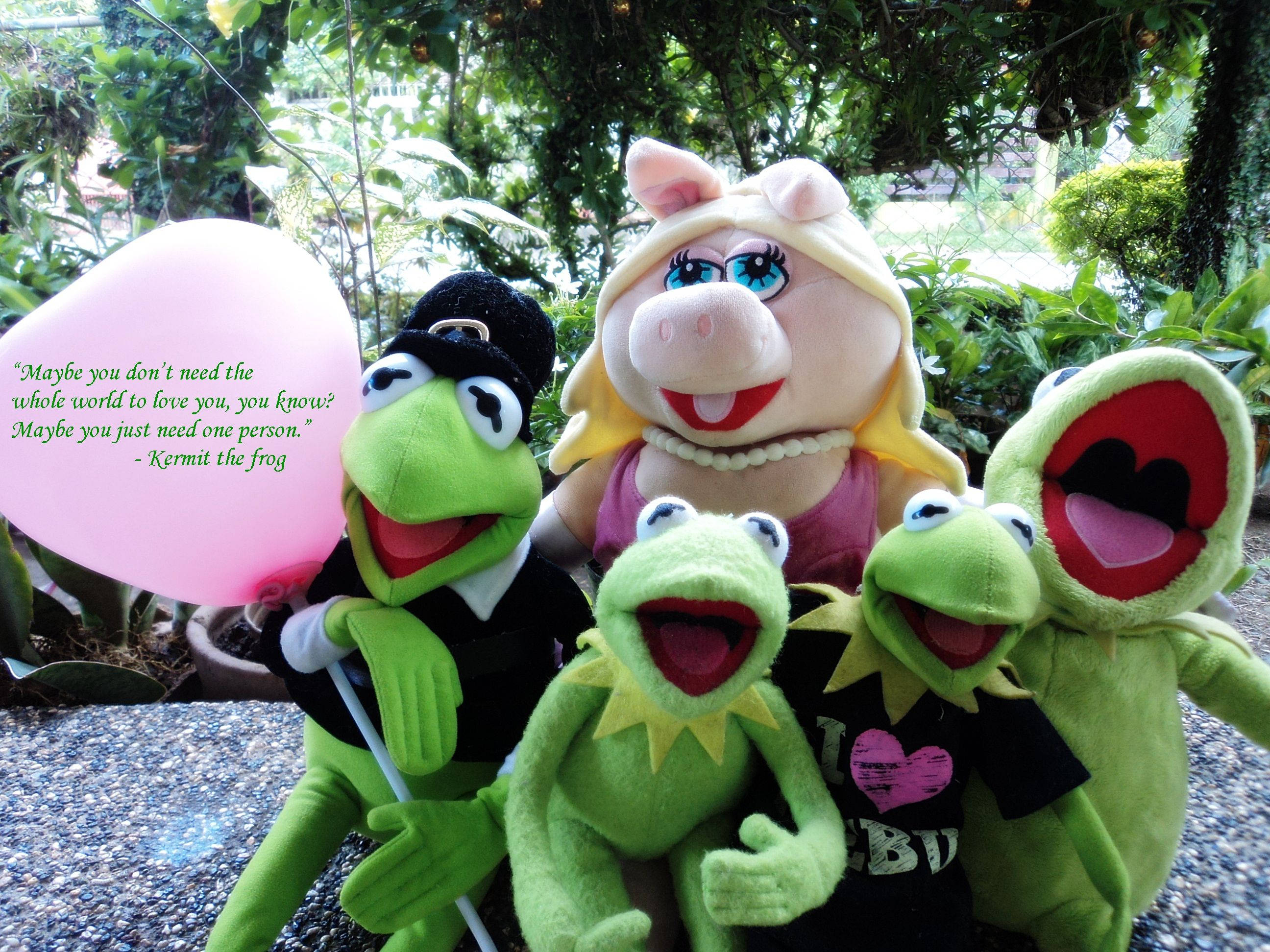 kermit 桌布 壁紙 — 四個Muppet絨毛玩具，包括Kermit、Miss Piggy和兩隻青蛙，在戶外愉快地擺姿勢，手持粉紅色氣球和勵志語錄。