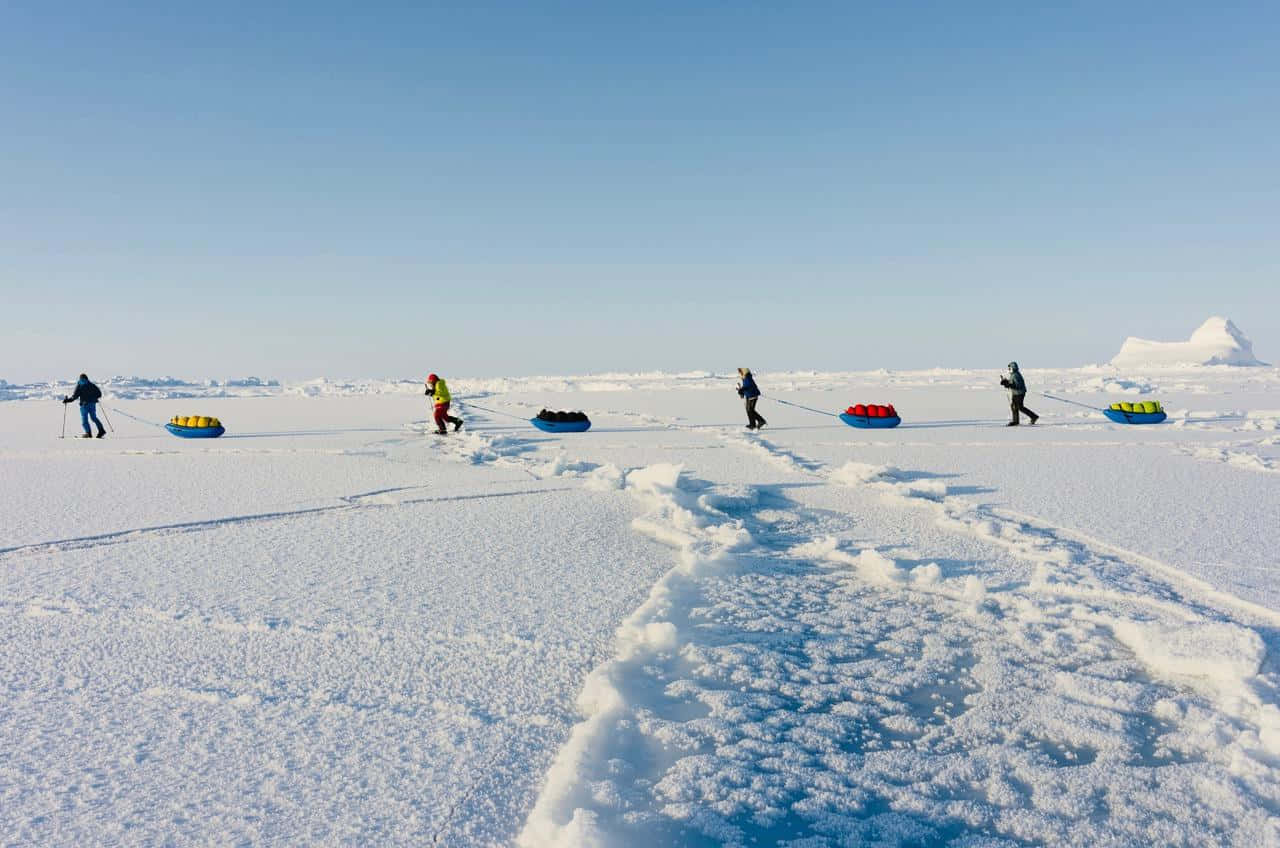 North Pole 桌布 壁紙 — 四個人穿越廣闊的雪原，在晴朗的藍天下拉著色彩繽紛的充氣雪橇。