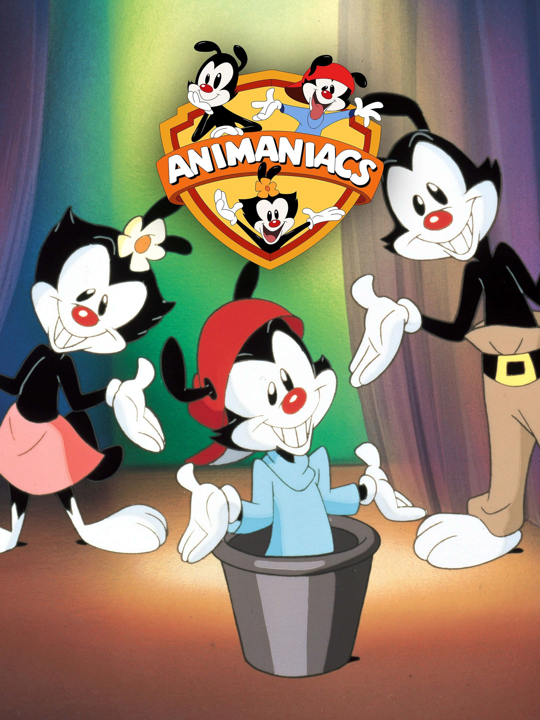 Animaniacs 桌布 壁紙 — 四個來自 Animaniacs 的卡通角色圍著一個水桶愉快地擺姿勢，節目標誌在他們上方。