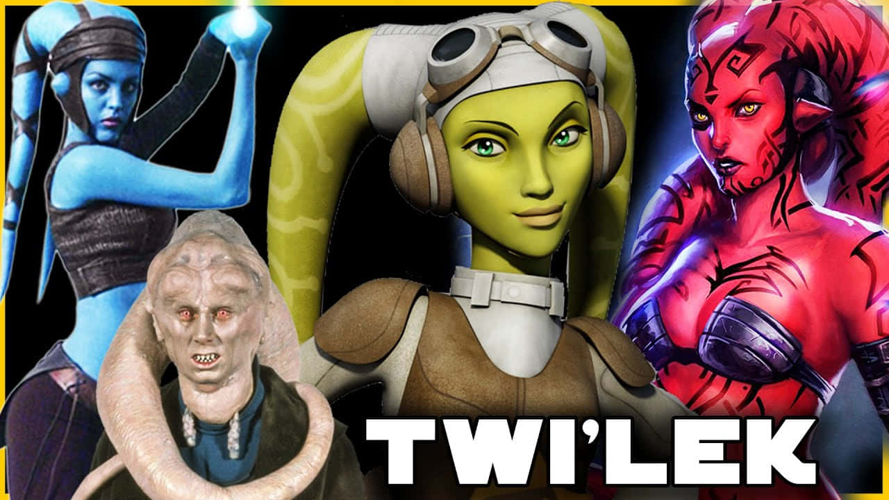 Twi'lek 桌布 壁紙 — 四個來自《星際大戰》的不同特維萊克角色，在黑色背景上以粗體黃色邊框和白色文字擺出姿勢。