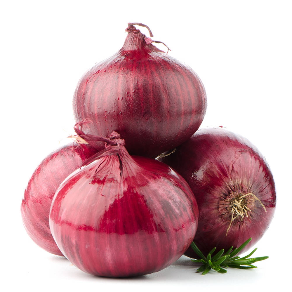 Onion 桌布 壁紙 — 四個光澤的紅洋蔥堆疊著一枝迷迭香，背景為純白色。